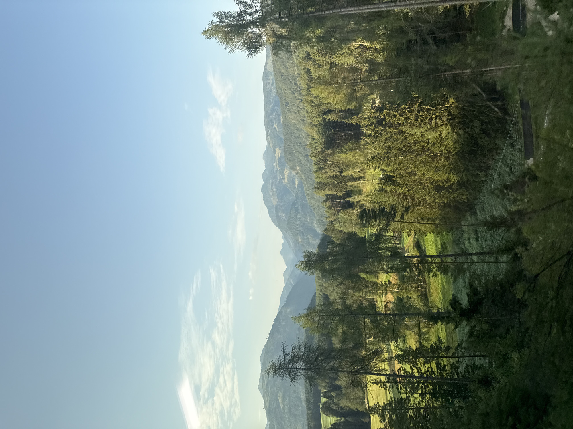 The image displays a serene mountain landscape under a clear blue sky with scattered clouds. The foreground is dominated by a dense forest of tall evergreen trees, with some taller trees reaching out towards the sky. Sunlight filters through the branches, creating a dappled effect on the trees and the lush green grassy slopes visible in the middle ground. In the distance, a series of majestic, layered mountains fade into a hazy blue, indicating significant depth. The scene is tranquil and natural, suggesting a rural or mountainous region, potentially the area around Carano, Italy, known for its mountainous terrain. No people or specific actions are depicted. The environment is characterized by dense vegetation and a mountainous backdrop.