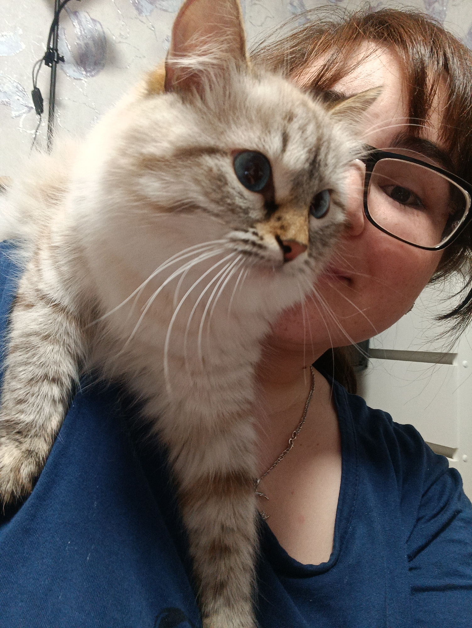 A woman with brown hair and glasses is holding a light-colored cat with blue eyes. The cat is positioned on her left shoulder. The woman is wearing a blue shirt and a silver necklace. The background appears to be a wall with a floral pattern and a power cord. The location, Noviy, Russia, is not discernible from the image.