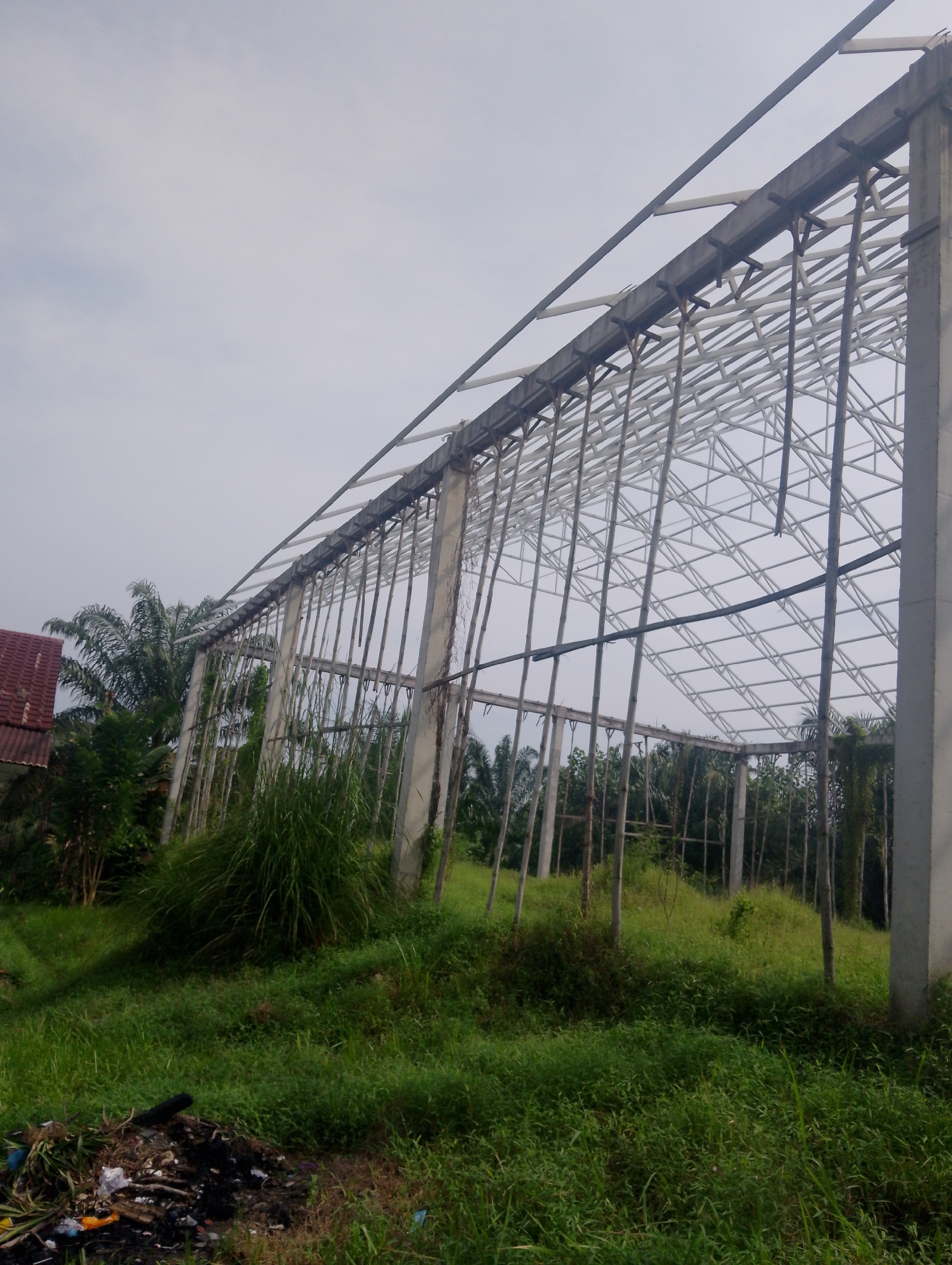In Serbelawan, Indonesia, an unfinished concrete and steel structure stands amidst overgrown vegetation under a cloudy sky. The skeletal frame of a building, potentially a warehouse or industrial facility, is visible, composed of tall concrete pillars supporting a complex network of metal beams and trusses. The structure appears to be in a state of disrepair or construction, with exposed supports and an unfinished roofline.
Surrounding the structure is a landscape dominated by lush, green grass and various plants, suggesting a rural or semi-rural environment. Tall palm trees and other foliage are visible in the background, indicating a tropical climate. A small pile of debris, including plastic waste and burnt material, is present in the foreground, indicating potential neglect of the site. To the left, a portion of a building with a reddish-brown tiled roof can be seen, suggesting nearby residential or supporting infrastructure. The overall scene conveys a sense of abandonment or ongoing, incomplete development within a natural, overgrown setting.