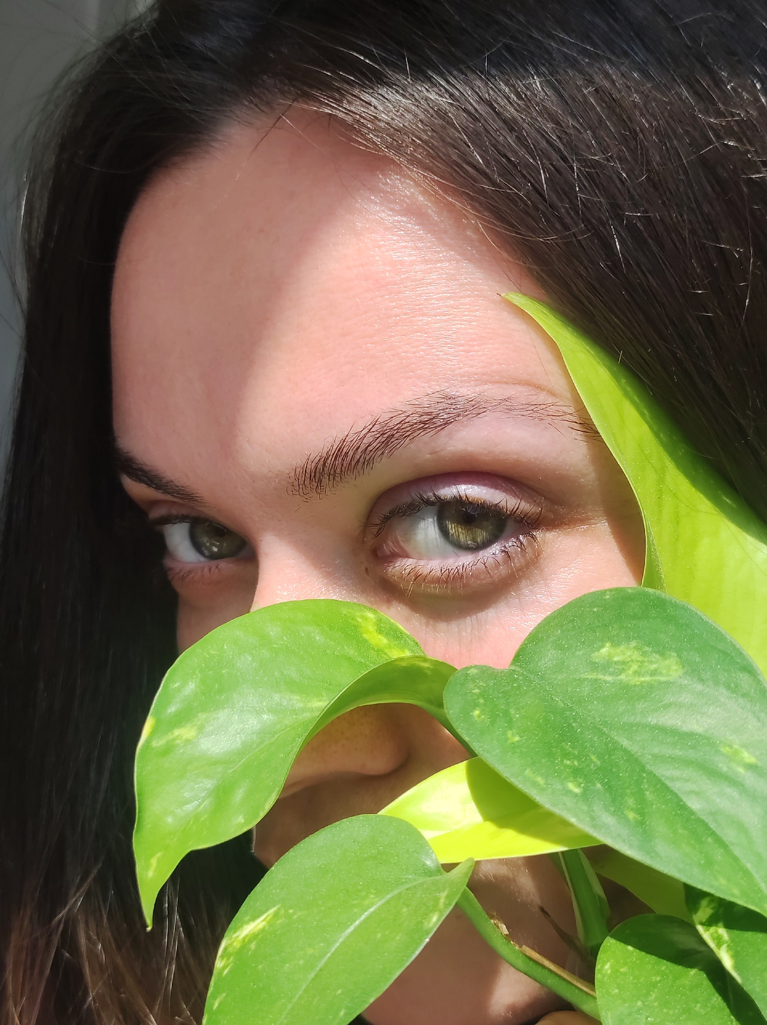 A close-up portrait features a person with dark hair and green eyes, partially obscured by vibrant green plant leaves. The individual's forehead, eyebrows, and eyes are visible, with the lower part of the face, including the nose and mouth, hidden behind the foliage. The leaves, possibly from a Pothos plant, exhibit varying shades of green with some lighter, yellowish variegation, and appear fresh and healthy.
Strong, directional natural light illuminates the scene, casting distinct shadows across the person's forehead and emphasizing the contours of the eyes and eyebrows. This lighting creates a high-contrast effect, highlighting the bright greens of the leaves and the skin while deepening the shadows in the hair and on parts of the face. The background is mostly filled by the person's dark hair and blurred bright areas, suggesting an indoor setting with ample daylight, possibly near a window.
The person looks directly towards the viewer with a steady, engaging gaze, peeking from behind the leaves, which lends a sense of intrigue or playfulness to the image. There is no visible text in the image. This scene was captured in Chaikovsky, Russia, during bright daylight hours.