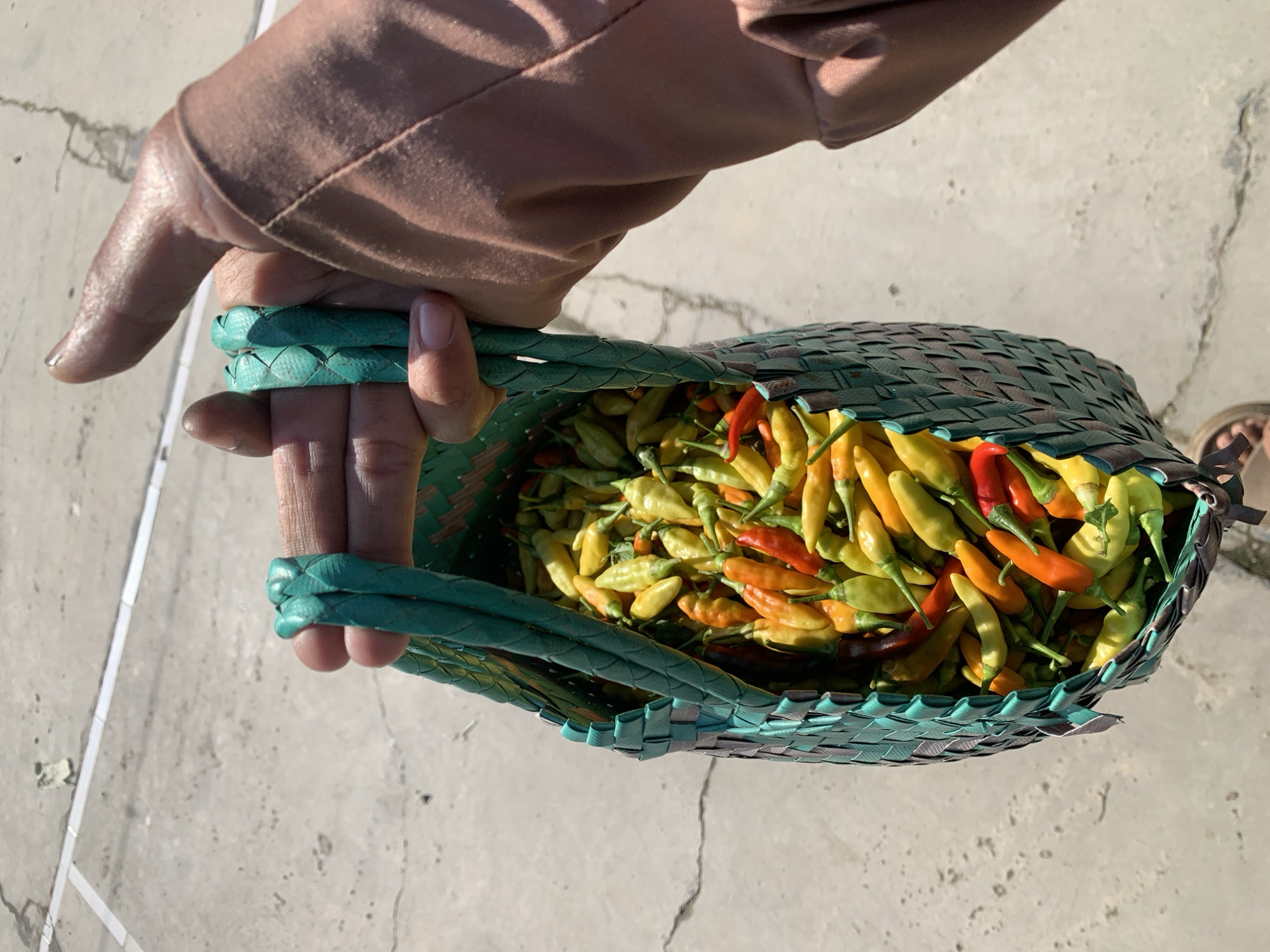 A person's hand is holding a woven basket filled with small chili peppers. The basket is made of green woven material and has two braided handles. The chilies are a mix of green, yellow, orange, and red, indicating varying degrees of ripeness. The background appears to be a paved outdoor area, possibly a street or courtyard, with some visible cracks and faint white lines on the ground. The lighting suggests it is daytime, with the sun casting shadows. The image is taken from a slightly elevated perspective, looking down into the basket. The location is identified as Karangkemiri, Indonesia.