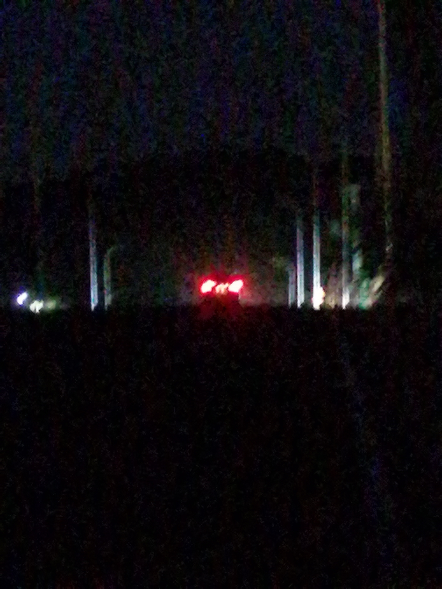 The image captures a blurry, nighttime scene with a dark foreground suggesting a road or unlit ground. In the midground, several tall, vertical, indistinct shapes, possibly trees or poles, are visible, illuminated by faint, diffused light. The most prominent feature is a set of bright red lights positioned centrally, resembling car taillights. To the left of the red lights, fainter white or yellowish lights are also present, potentially headlights. The overall impression is of a vehicle or vehicles on a dark, possibly rural or semi-urban, road in Dalat, Vietnam, under low light conditions.