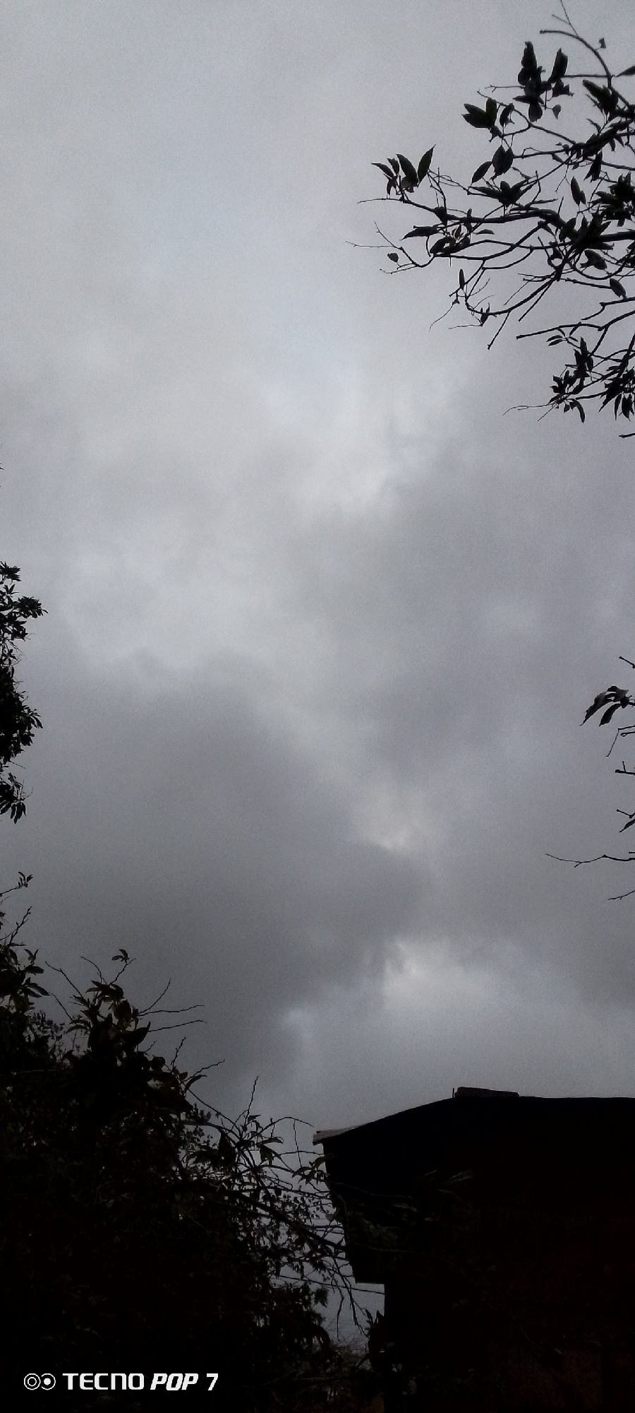The image presents a dramatic, overcast sky dominated by dense, dark grey clouds, suggesting impending rain or stormy weather. The light is heavily diffused, creating a muted and somber atmosphere. Silhouetted tree branches with some leaves frame the sky from the upper right, lower left, and lower center, adding a natural border to the composition. Their dark forms stand in stark contrast against the lighter, yet still dark, tones of the clouds. In the lower-right corner, a dark, angular structure, possibly the roofline of a building, is also visible in silhouette.
No human activity is depicted in the scene. The setting appears to be an outdoor, possibly rural or suburban environment in Altagracia, Venezuela, characterized by natural elements and hints of human habitation. The time of day is indeterminate due to the heavy cloud cover, which obscures direct sunlight. The visible text "◎ TECNO POP 7" is a camera watermark located in the lower-left corner. The overall mood of the image is one of natural intensity and stillness, possibly evoking anticipation of weather changes.