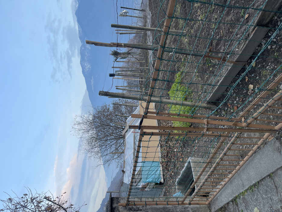 The image displays an outdoor scene of a garden or agricultural plot set against a mountainous backdrop. In the foreground, a green mesh fence, supported by wooden and metal posts, creates a boundary. Beyond the fence, the ground is composed of dark earth and scattered rocks, with visible rectangular patches of bright green, low-growing vegetation, suggesting active cultivation of small crops.
Extending into the mid-ground are numerous rustic wooden posts strung with wires, typical of a vineyard or a support system for plants. Among these posts, several deciduous trees stand bare, indicating a late autumn or winter season. A makeshift structure, likely a small greenhouse or cold frame, is visible, constructed from materials resembling cardboard or wood and covered with white and light blue plastic sheeting, suggesting protection for plants against cooler temperatures.
The background is dominated by a majestic mountain range, with peaks partially obscured by atmospheric haze or clouds, under a clear, pale blue sky with diffused white clouds. The lighting suggests a bright daytime, likely morning or afternoon, without harsh shadows. No human activity or specific individuals are visible. The overall scene conveys a sense of rural utility and the natural dormancy of the colder months in a mountainous environment. There is no visible text in the image. This scene is located in Castione, Italy.