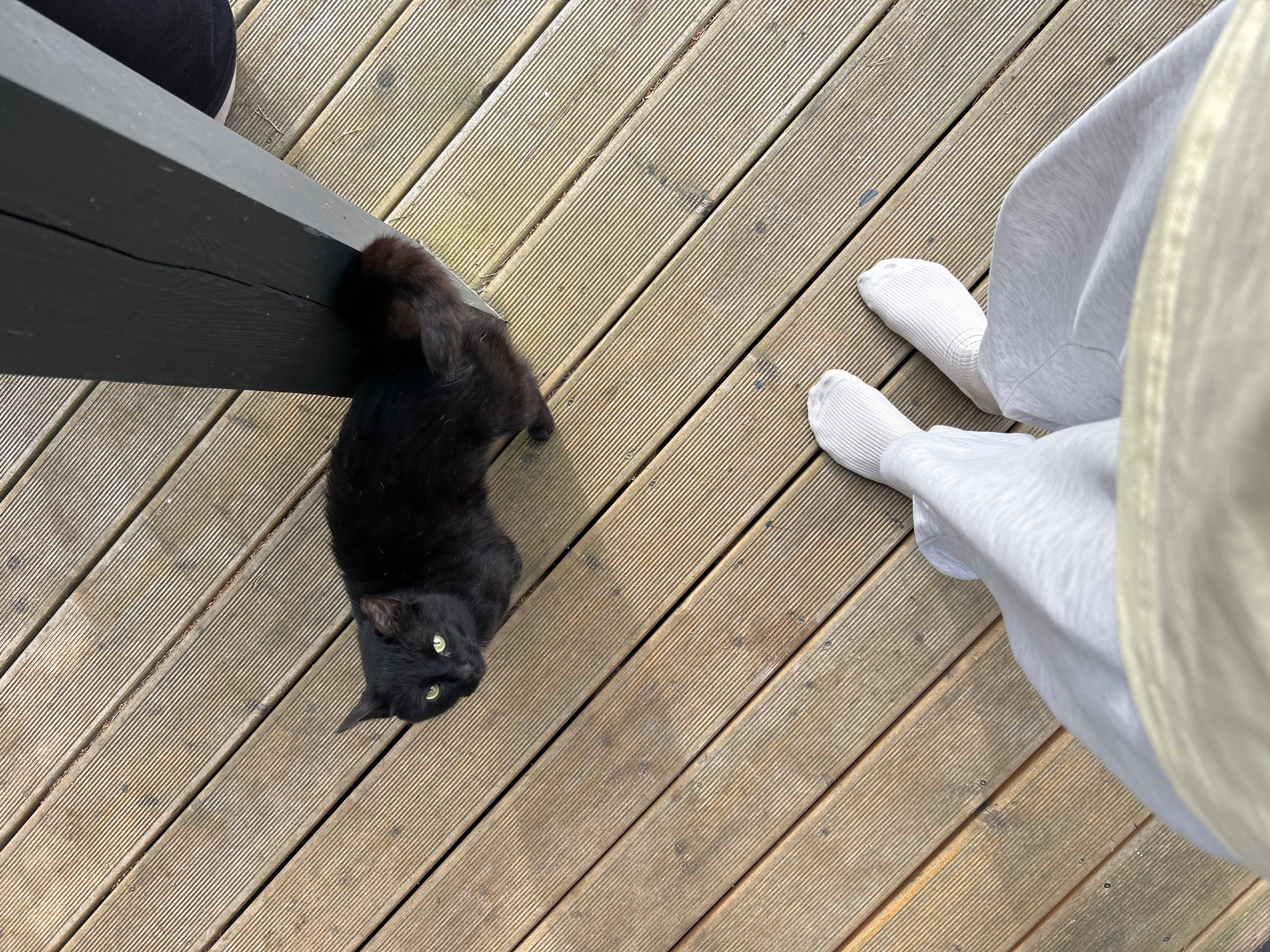 In Shepelyovo, Russia, a black cat lies on its back on a wooden deck, its green eyes wide. The cat is positioned near a dark grey wooden railing. To the upper left of the cat, a person's legs are visible, wearing white socks and light grey sweatpants and a pale yellow top. The wooden deck boards are oriented diagonally across the frame.