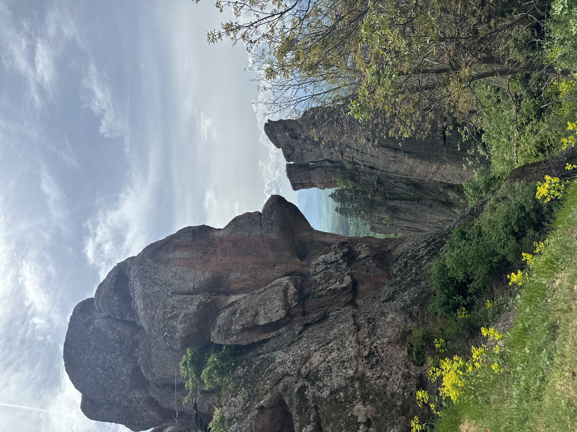 The image presents a view of the Belogradchik Rocks, a unique geological formation located near the town of Belogradchik in Northwestern Bulgaria. The rocks are composed of sandstone and conglomerate, varying in color from red to yellow. Vegetation, including grass, yellow wildflowers, and trees, grows around the base of the rocks. The sky above is partly cloudy. The photo appears to have been taken from a low angle, emphasizing the height and grandeur of the rocks.