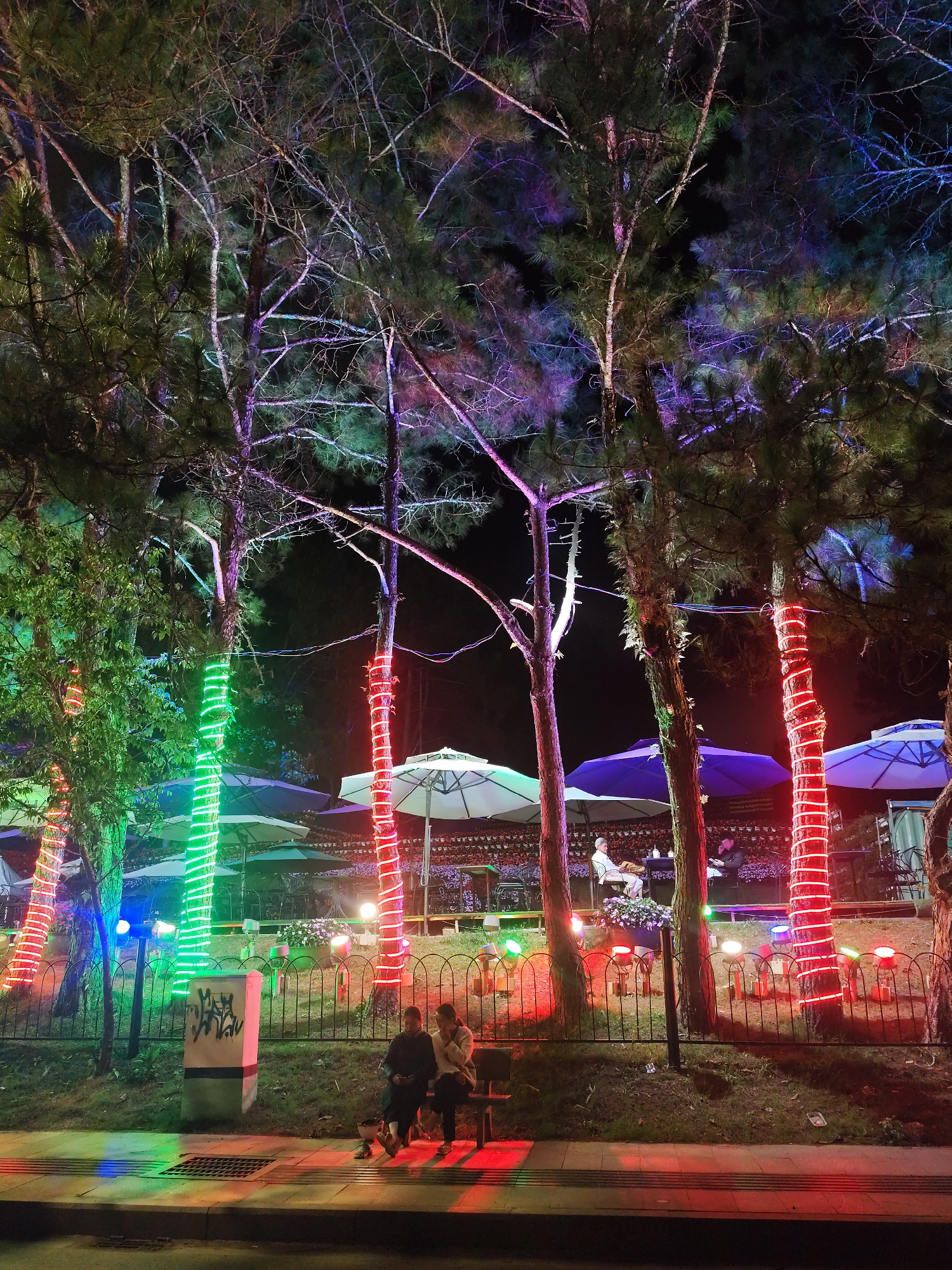 The image captures a night scene in Da Lat, Vietnam, depicting an outdoor space illuminated with vibrant, colorful lights. Several trees are wrapped in strings of green and red lights, creating a festive atmosphere. In the background, there are white and blue umbrellas above tables and chairs, suggesting a restaurant or outdoor seating area. People are seated at some of the tables. In the foreground, two individuals are sitting on a bench in front of the trees. The sidewalk in the foreground is lit with colorful lights that appear to match the colors of the lights on the trees. A utility box or electrical panel is seen on the left side of the image. The background is filled with dark green foliage, with parts of the trees adorned with faint blue and purple lighting, blending into the night sky.