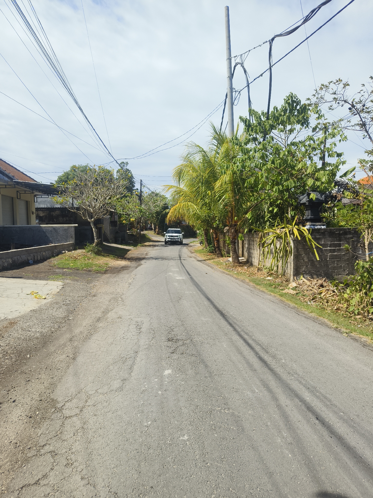 The image depicts a road in Kuta Selatan, Indonesia. The road is asphalted and shows signs of wear and tear with cracks and patches. On the left side of the road, there is a concrete sidewalk, a low wall, and the side of a building with a metal roof. Further back on the left, a frangipani tree stands beside a house. On the right side of the road, a gray brick wall runs along the property line, with lush green foliage and palm trees behind it. A dragon fruit plant is visible growing on the wall. In the distance, a white SUV is driving down the road. Overhead, a network of power lines crisscrosses the sky, supported by a concrete utility pole on the right side. The sky is partly cloudy, with a bright, overcast appearance. The scene suggests a residential or semi-rural area within Kuta Selatan.
