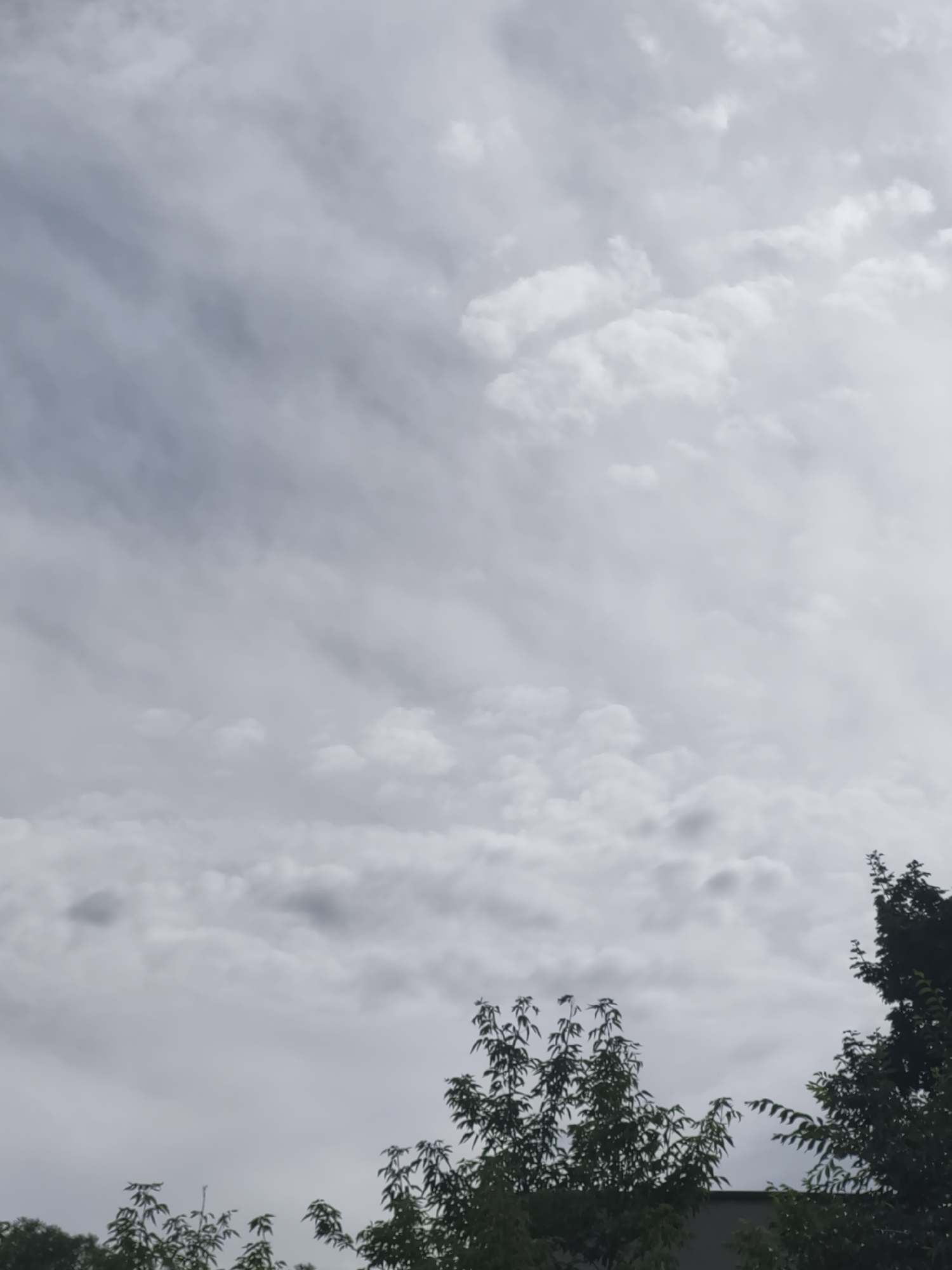 The image shows a grey, overcast sky with scattered clouds. In the foreground, the tops of trees with green leaves are visible, along with a hint of a building. The scene is likely outdoors, possibly in a park or residential area. The lighting suggests it is daytime, but the cloudy weather makes it difficult to determine the exact time. There are no people, objects, or text visible in the image. The overall mood is calm and subdued, consistent with a cloudy day. The location context provided is Chișinău, Moldova.