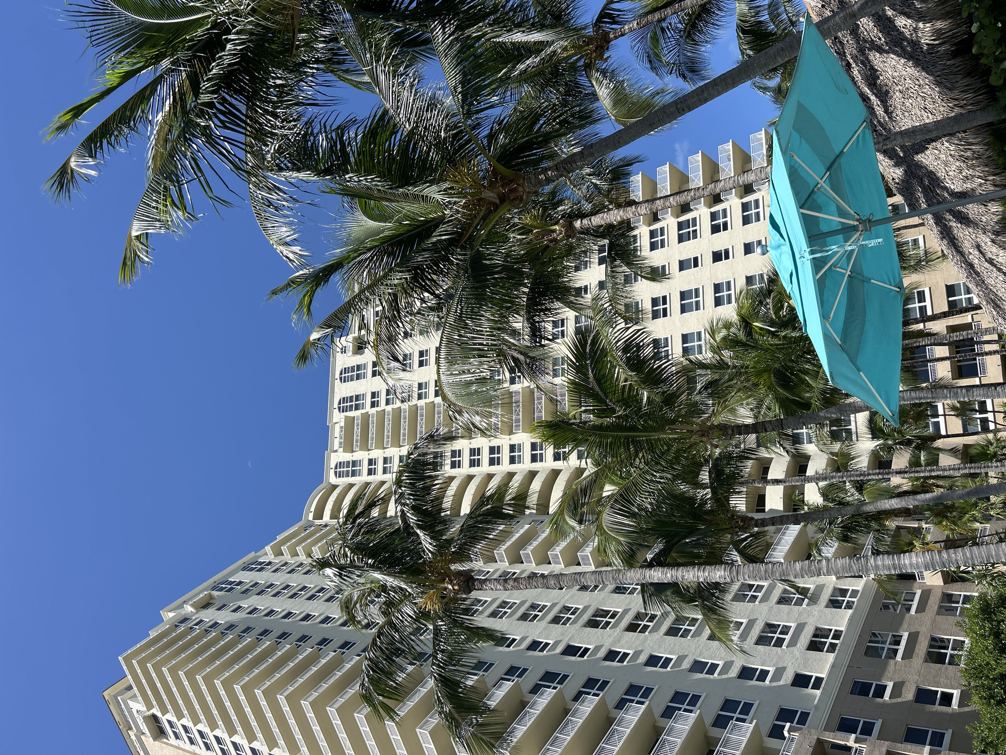 In Aventura, Florida, USA, a tall, cream-colored building with numerous balconies and windows dominates the frame, set against a clear blue sky. Palm trees with lush green fronds are scattered throughout the scene, some reaching high above the building. In the foreground, a bright turquoise umbrella, partially open, casts a shadow over a thatched-roof structure. The environment appears to be a resort or residential area, with a focus on tropical aesthetics. No people are visible in the image.