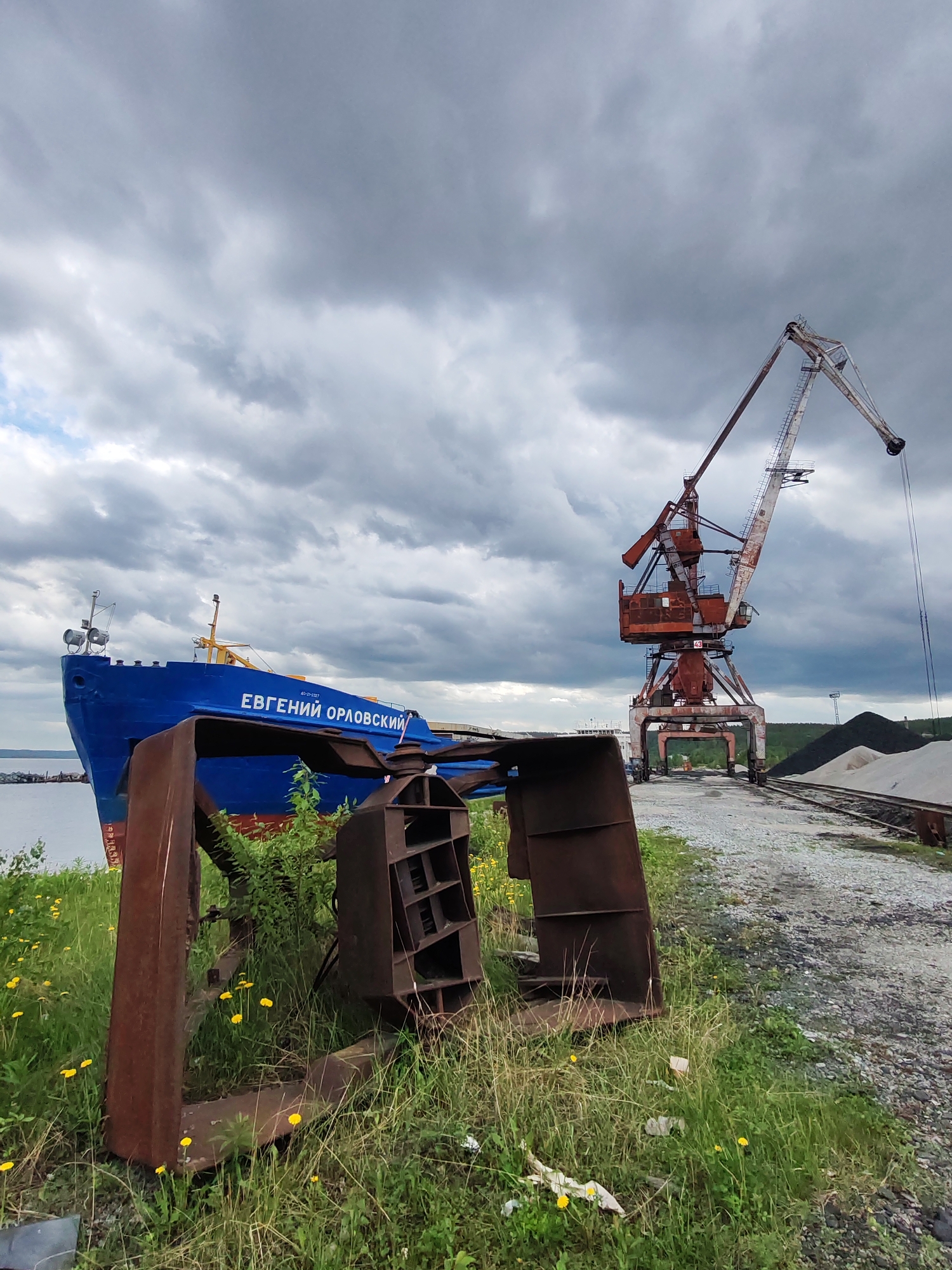 An industrial port scene in Medvezhyegorsk, Russia, is captured under a dramatic, heavily overcast sky. In the foreground, rusty, discarded metal structures, possibly parts of old machinery, are partially enveloped by lush green grass dotted with yellow wildflowers. Behind these, a prominent blue cargo ship, identified by the white Cyrillic text "ЕВГЕНИЙ ОРЛОВСКИЙ" (Yevgeny Orlovsky) on its hull, is docked alongside a body of water. A smaller, less distinct inscription, possibly "40-03-2022", is visible above the ship's name.
To the right of the ship, a towering, weathered red port crane, bearing the number "43", stands on railroad tracks, suggesting its function in cargo handling. Behind the crane, large piles of bulk materials, including dark coal and lighter gravel or sand, indicate active storage at the port. The background reveals a distant, forested shoreline under the extensive cloud cover. The overall impression is one of a busy, yet rugged and industrial maritime environment on an overcast day. No individuals are visible in the scene.