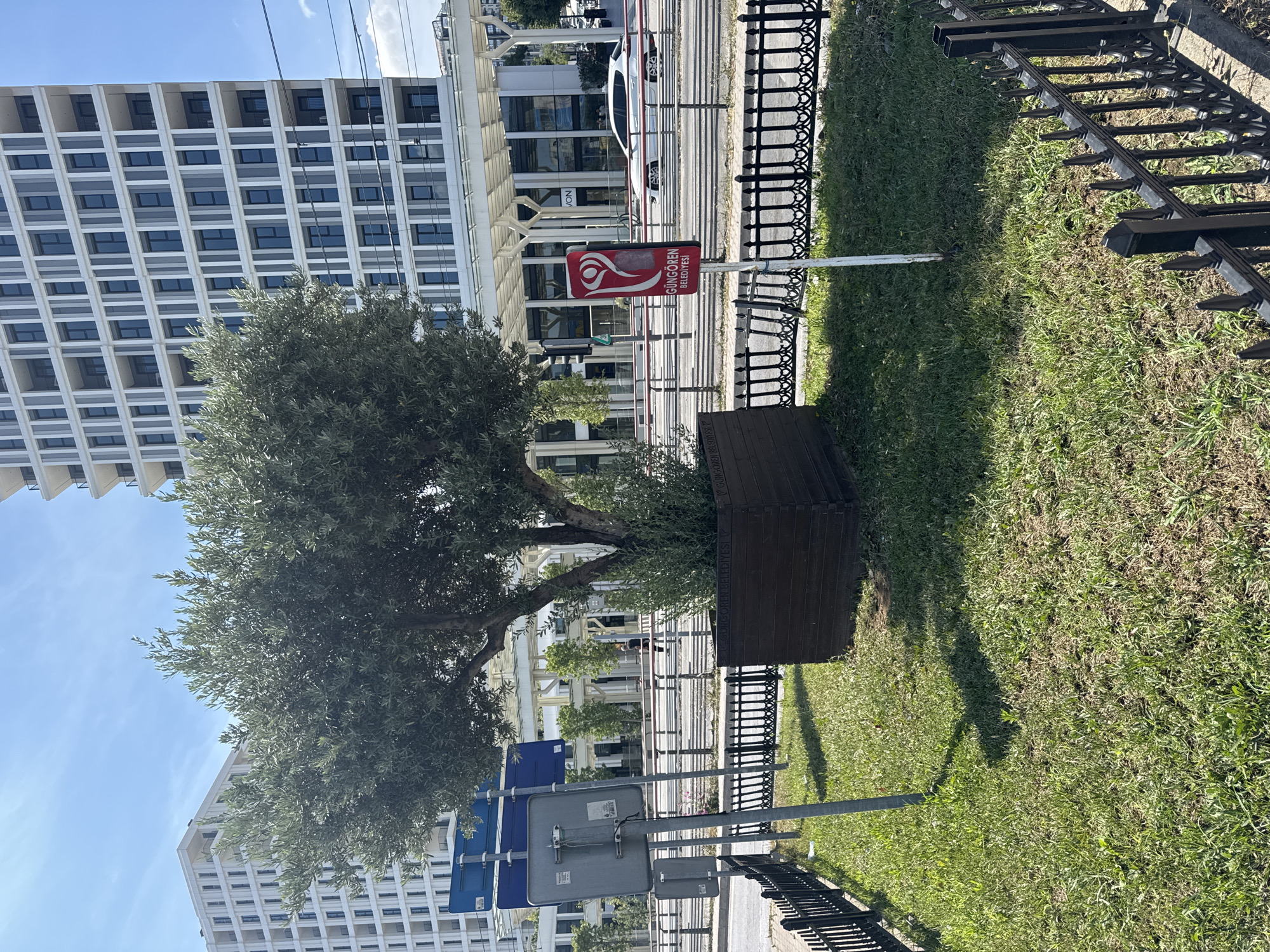 The image shows an outdoor scene in Bahçelievler, Turkey, under a clear blue sky. In the foreground, a grassy area is bordered by a black metal fence. A large planter box made of dark wood sits on the grass, containing a mature olive tree with dense green foliage and a smaller shrub at its base. To the right of the planter, a white pole holds a red sign featuring a stylized pink flower symbol and text that reads "GÜNGÖREN BELEDİYESİ".
Behind the planter, a street is visible with a row of black metal bollards separating the sidewalk from a road. A white car is driving on the road, and beyond that, a modern white building with numerous windows and balconies dominates the background. Further to the left, another similar white building is partially visible. Overhead power lines are present in the upper right portion of the image. Several road signs on metal poles are positioned to the left of the olive tree.