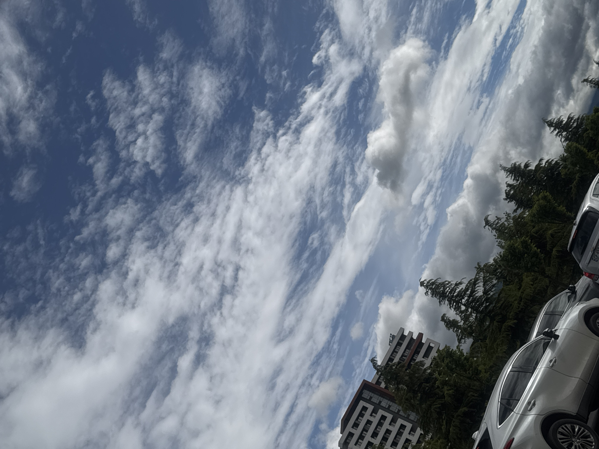 The image captures a sky with streaks of cirrus clouds and some puffy cumulus clouds, suggesting fair weather. Below the sky, evergreen trees line the view, partially obscuring the architecture of a high-rise building. The building is characterized by its alternating dark and light color scheme. In the foreground, several parked cars are visible. The angle of the shot and the architectural style suggest a location in the city of Tbilisi, Georgia.
