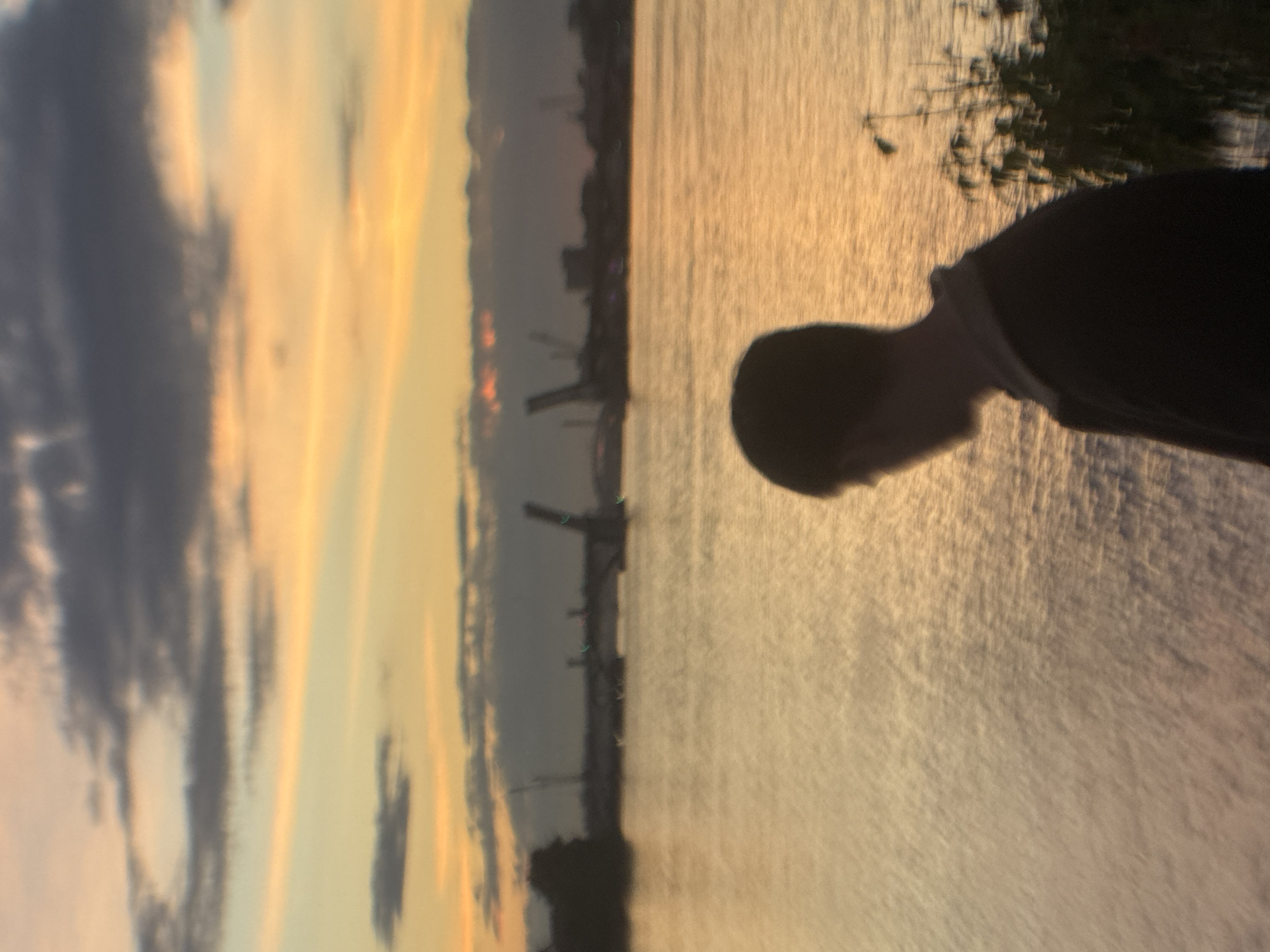 A silhouette of a person stands with their back to the camera, looking out over a body of water at sunset. The sky is a gradient of orange, yellow, and gray clouds. In the distance, a bridge with its draw span raised is visible, suggesting the location is likely near the Neva River in Saint Petersburg, Russia. The water reflects the colors of the sky. The image is slightly out of focus.