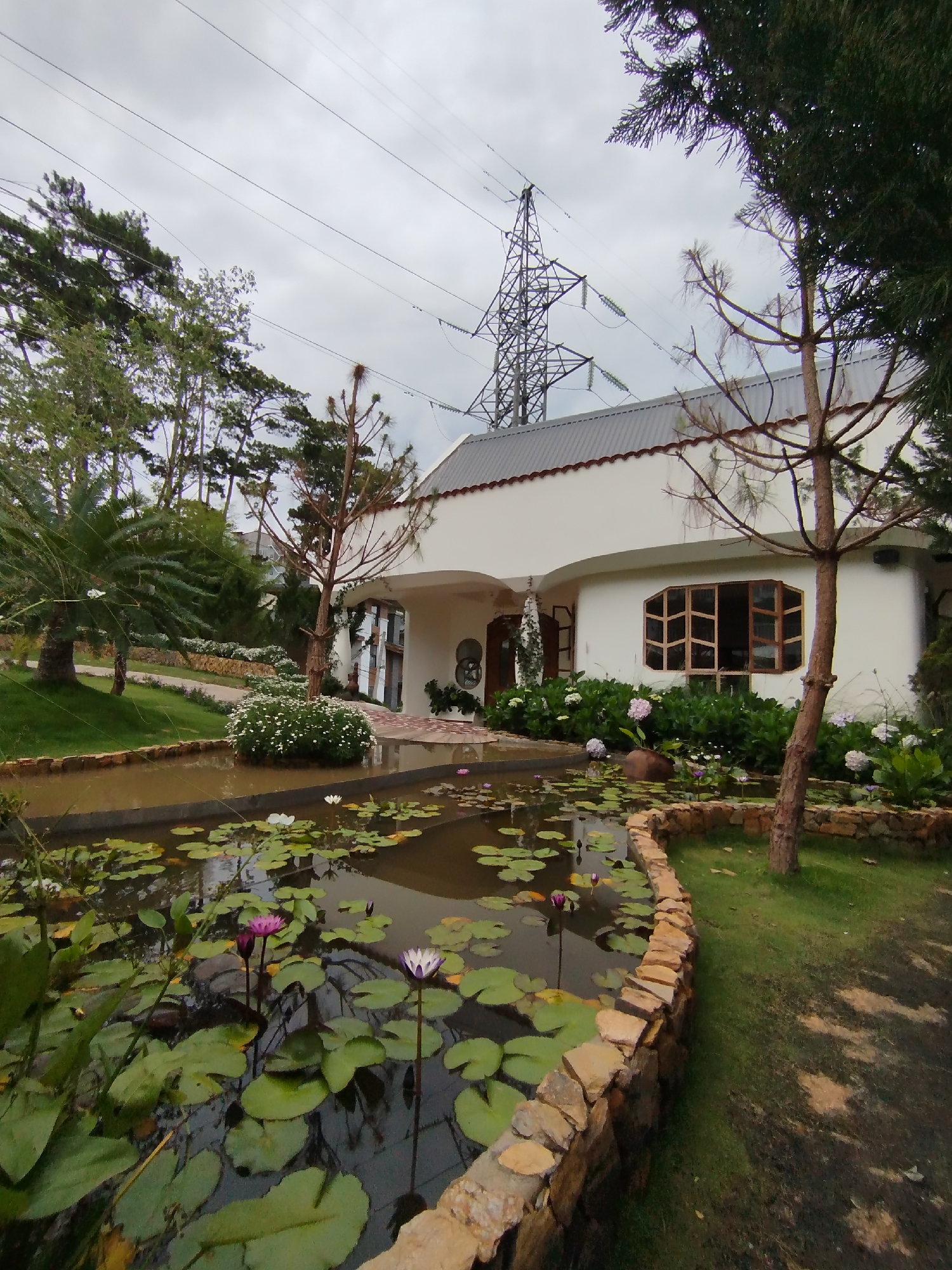 The image shows a white, one-story building with a gray roof located in Da Lat, Vietnam. A pond filled with water lilies sits in the foreground, bordered by a stone edge. Behind the pond are various plants and flowers, including white hydrangeas. The building has arched doorways and a large, multi-paned window. Power lines and a transmission tower are visible in the background against a cloudy sky. Trees surround the building and pond, contributing to the lush, landscaped environment.