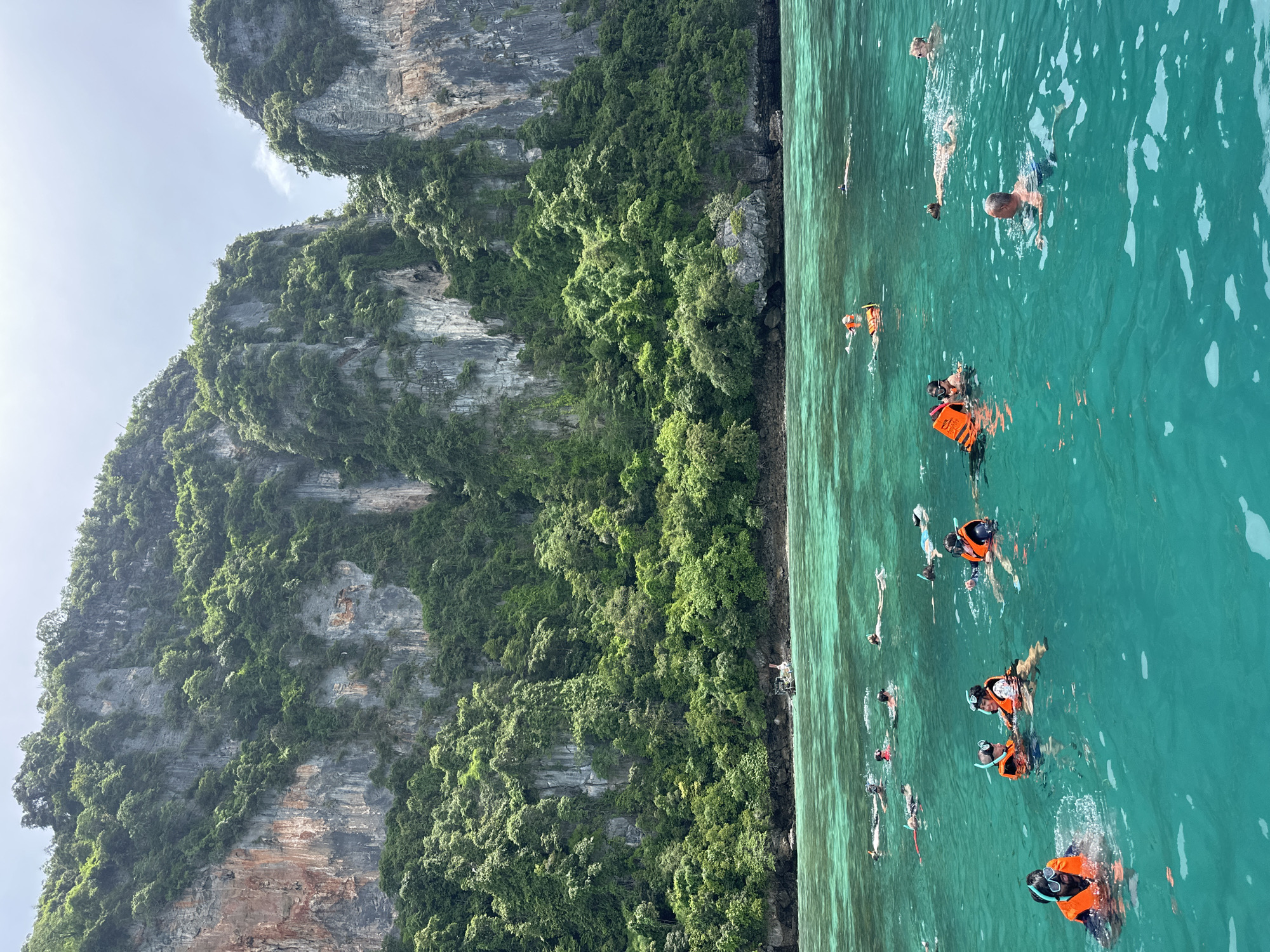 In the turquoise waters off the coast of Ao Nang, Thailand, a group of tourists enjoys a snorkeling excursion. The scene is dominated by the imposing limestone cliffs of a tropical island, densely covered with lush green vegetation. The clear, shallow water reveals scattered coral formations and a few small fish. Several individuals, wearing bright orange life vests and snorkeling gear, are actively swimming and exploring the underwater world. Some are in small groups, interacting and pointing out marine life, while others are spread out, enjoying the activity independently. In the background, a traditional longtail boat is anchored near the shore, a common sight in this popular tourist destination. The sky above is partly cloudy, casting a soft light on the picturesque landscape.