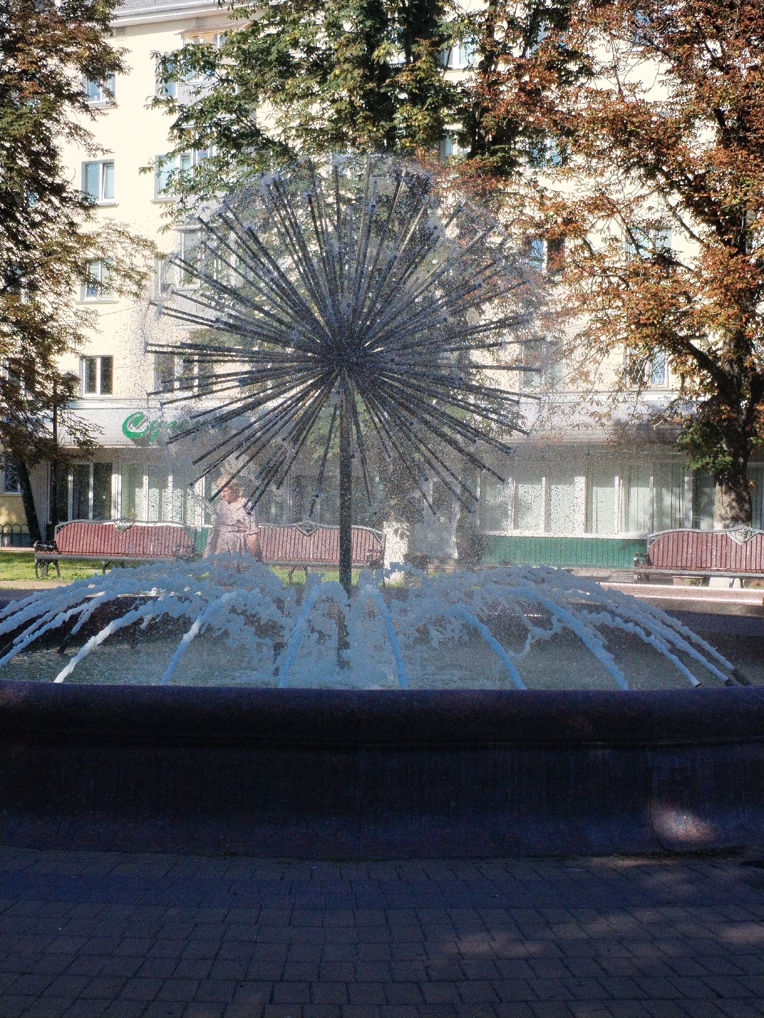 The image depicts a contemporary dandelion-shaped fountain in a public space, likely a park or square in Homyel, Belarus. The fountain, made of dark metal rods radiating from a central point, is actively spraying water outwards in a wide arc. In the background, a multi-story building with light-colored walls and numerous windows is visible, partially obscured by the dense foliage of trees with some autumnal coloration. Several park benches, with red-brown slats and dark metal frames, are placed in front of the building and along a paved walkway. A woman in a light-colored dress stands near the fountain, her posture suggesting she is observing it. The ground in the foreground is paved with dark interlocking bricks, and a shadow pattern suggests the presence of trees and possibly the fountain structure itself. The overall scene conveys a sense of urban leisure and interaction with a modern art installation.