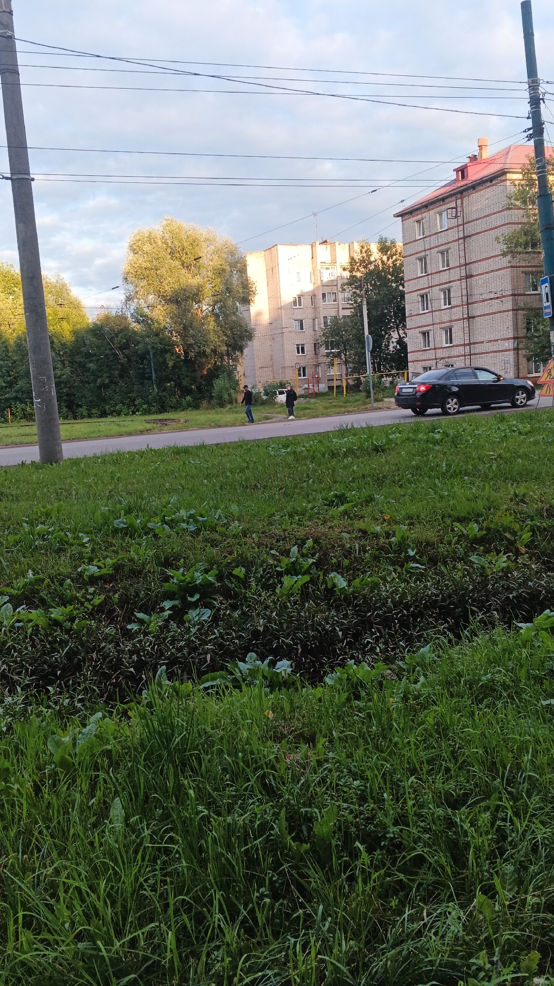 The image captures a street scene in Izhevsk, Russia, likely during daylight hours as indicated by the bright sky and sunlight. In the foreground, a thick growth of green grass and vegetation dominates, with some larger leafy plants interspersed. A paved road runs horizontally across the middle ground, bordered by a strip of grass. On the road, a black sedan is driving away from the viewer towards the right. Two individuals are standing on the grassy area beside the road, facing the street.
In the background, two apartment buildings are visible. The building on the left is lighter in color and appears to be older, with a slightly tilted facade. The building on the right is taller, with a reddish-brown roof and beige brickwork accented by red stripes. Trees and greenery are situated between the road and the buildings, as well as to the left of the apartment complexes. Power lines are strung across the sky, supported by a thick utility pole on the left side of the frame. A traffic sign, partially obscured, is visible near the right edge of the image. The overall impression is a suburban or residential area within a city.