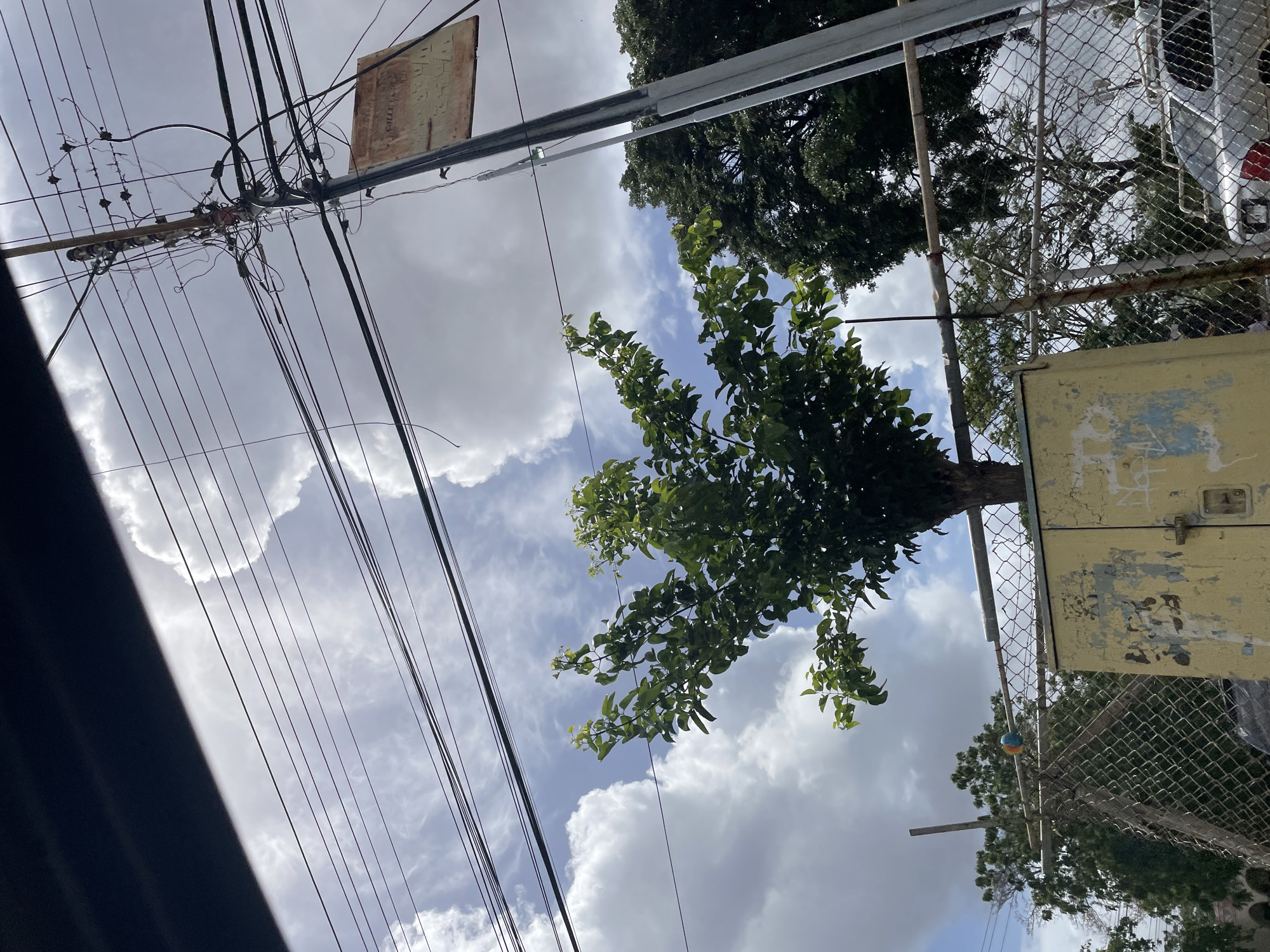 The image is an outdoor, eye-level, close-up shot of an overcast sky with cumulus clouds, taken in Juan Griego, Venezuela. Power lines are a prominent subject, crisscrossing the frame diagonally from the top left to the bottom right, with a utility pole visible in the upper left. A light-colored, rectangular sign with dark lettering is attached to the utility pole.
In the middle ground, a tree with dense green foliage extends into the frame from the right, its branches reaching upwards. Behind the tree, a chain-link fence runs vertically. Attached to the fence is a dilapidated yellow electrical box with visible wear and tear, including paint peeling and markings. Further in the background, through the fence and trees, a silver vehicle is partially visible on the right side of the frame.
The lighting suggests it is daytime, though the overcast sky indicates a lack of direct sunlight. The overall impression is one of a somewhat urban or suburban environment with a mix of infrastructure and nature. No people are visible in the frame. The weather appears to be cloudy, possibly humid.