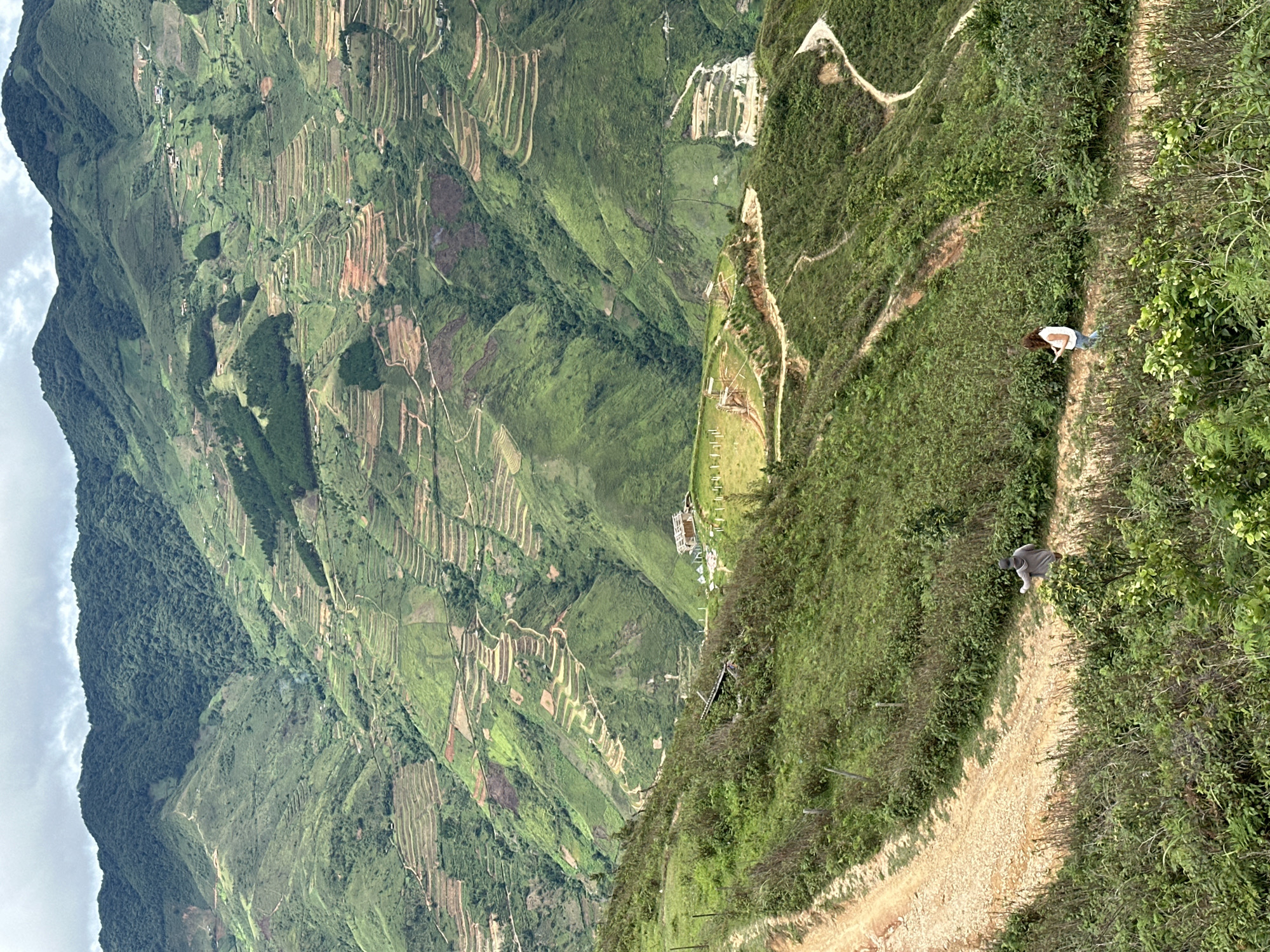 The image captures a panoramic view of the verdant, terraced hillsides of Ta Xua, Vietnam. The landscape is characterized by rolling green mountains, meticulously sculpted into rice terraces, with winding paths and dirt roads snaking through them. In the foreground, two individuals are walking on a dirt path. One, wearing a grey hoodie and dark pants, is walking away from the viewer. The other, a woman in a white top and blue jeans, is walking towards the viewer, looking at her phone. A small cluster of buildings, possibly a small village or resort, is visible nestled on a hillside in the middle ground. The sky is overcast, casting a soft, diffused light over the scene, enhancing the lush green hues of the vegetation and the earthy tones of the terraces and paths.