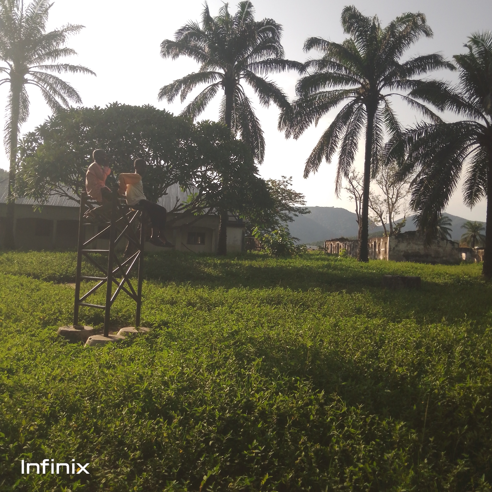In Serti, Nigeria, two young boys are perched atop a metal tower. One boy, wearing an orange shirt, is seated on the structure, while the other, in a white shirt, is leaning. The tower stands in a grassy field, with palm trees and buildings visible in the background. The sky is bright, suggesting it is daytime.