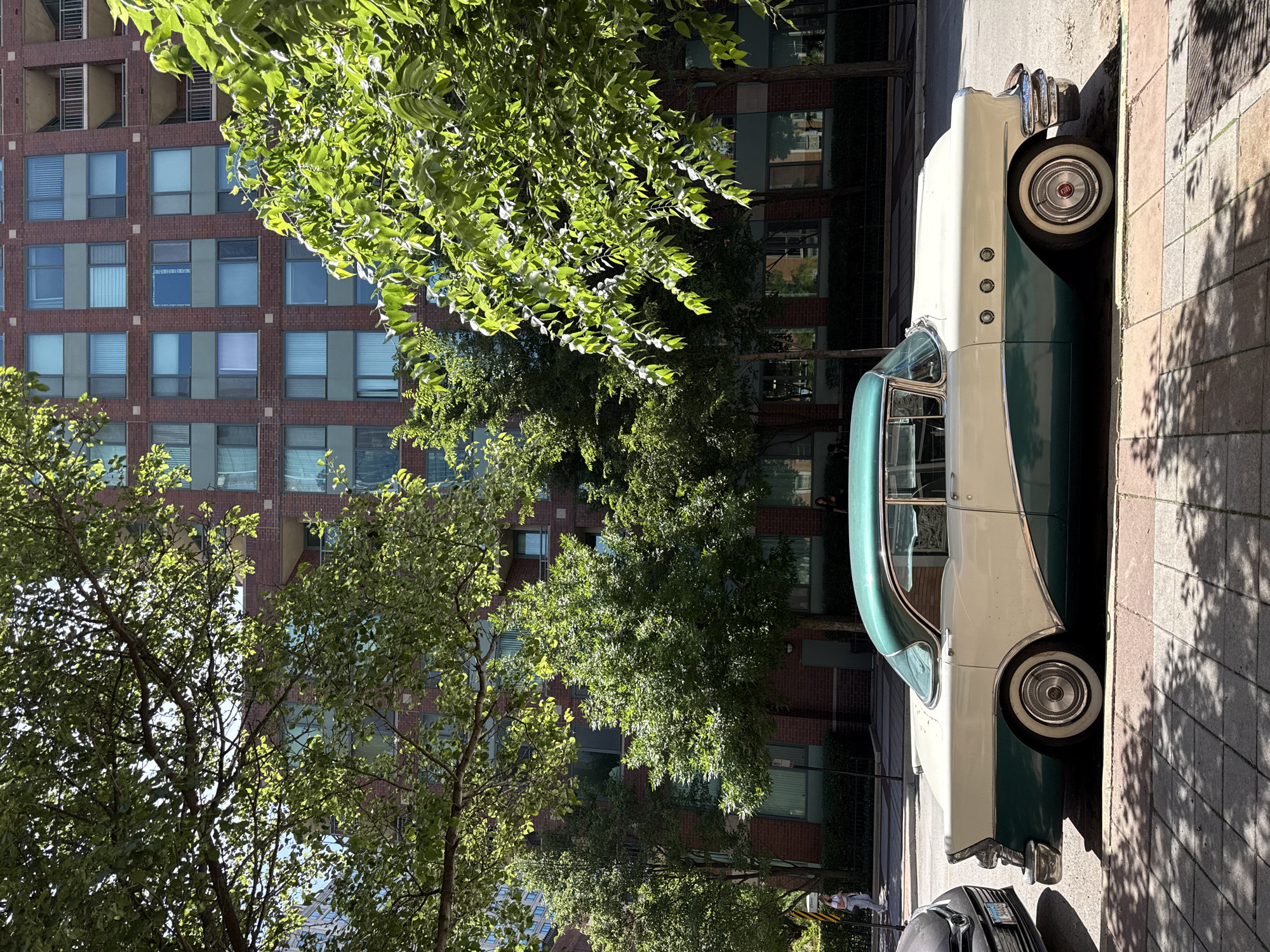 In Chicago, United States of America, a vintage two-tone cream and teal Buick is parked on a city street. The car, a classic from the 1950s, is positioned parallel to the curb, with its rear end facing left. A modern dark-colored vehicle is parked to its left. The street is paved with asphalt, and a patterned sidewalk runs alongside it, shaded by trees. In the background, a multi-story brick building with numerous windows stands. The building's facade is a mix of red brick and sections of grey, with balconies visible on some floors. Green foliage from trees in the foreground and midground partially obscures the view of the building. Sunlight filters through the leaves, casting dappled shadows on the sidewalk and street. Two pedestrians are visible in the distance on the sidewalk, one walking away from the camera, and another standing.