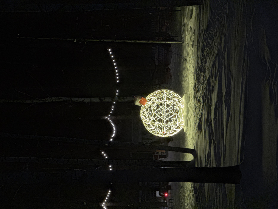 The image displays a nighttime scene within a snow-covered outdoor park or public area in Yekaterinburg, Russia. A large, spherical, illuminated structure, approximately two meters in diameter, serves as the central subject. This structure, resembling a giant Christmas ornament, is composed of numerous warm white LED lights forming an intricate, abstract pattern, and features a prominent red cap-like element at its apex. It rests on a base of snow, which also covers the ground across the visible area. Numerous dark tree trunks, consistent with deciduous trees like birch, are vertically arrayed throughout the foreground and midground, their branches largely obscured by darkness. Above the illuminated ornament, strings of small white lights are horizontally strung between trees, providing overhead ambiance. In the far left background, a faint red light source and indistinct structures are discernible. No individuals are present.