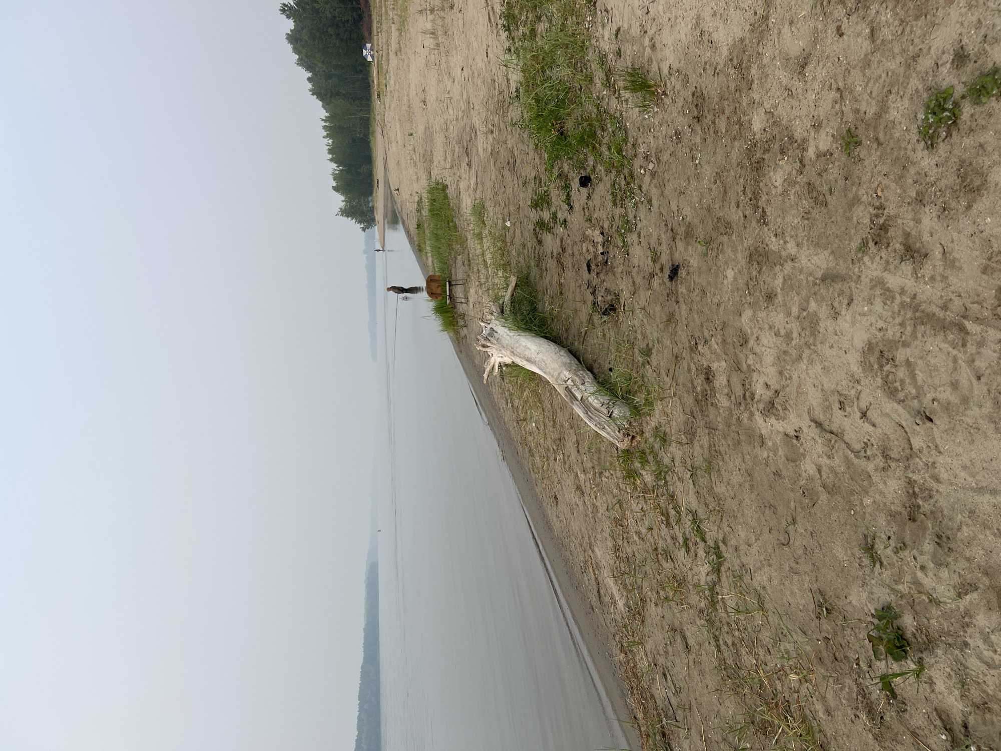 The image depicts a sandy beach along a wide, calm river under a hazy sky. In the foreground, a large, weathered piece of driftwood lies on the sand, partially covered by sparse green grass. To the right of the driftwood, a rustic wooden chair is placed on the beach. Further down the shore, a person is standing in the water, seemingly fishing. Another person is visible further along the shoreline, near the edge of a dense forest that borders the beach. The water stretches to the horizon, where the land is obscured by the atmospheric haze. A small red buoy is visible in the water in the distance. The overall scene suggests a quiet, natural environment, possibly during a slightly overcast day.