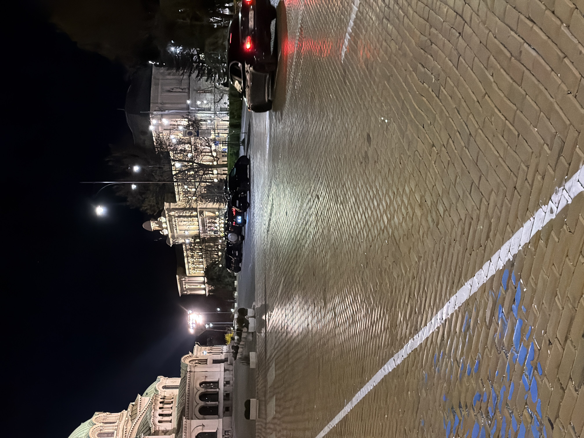 The image depicts a night scene in Sofia, Bulgaria, specifically the area surrounding the St. Alexander Nevsky Cathedral. The foreground features a wet, brick-paved street marked with a white parking line and patches of blue paint or markings. Several parked cars are visible along the street's edge, with their tail lights illuminated. The background showcases illuminated buildings, including the St. Alexander Nevsky Cathedral on the left and other buildings across the square, partially obscured by trees and streetlights. The sky is dark, suggesting a clear night.