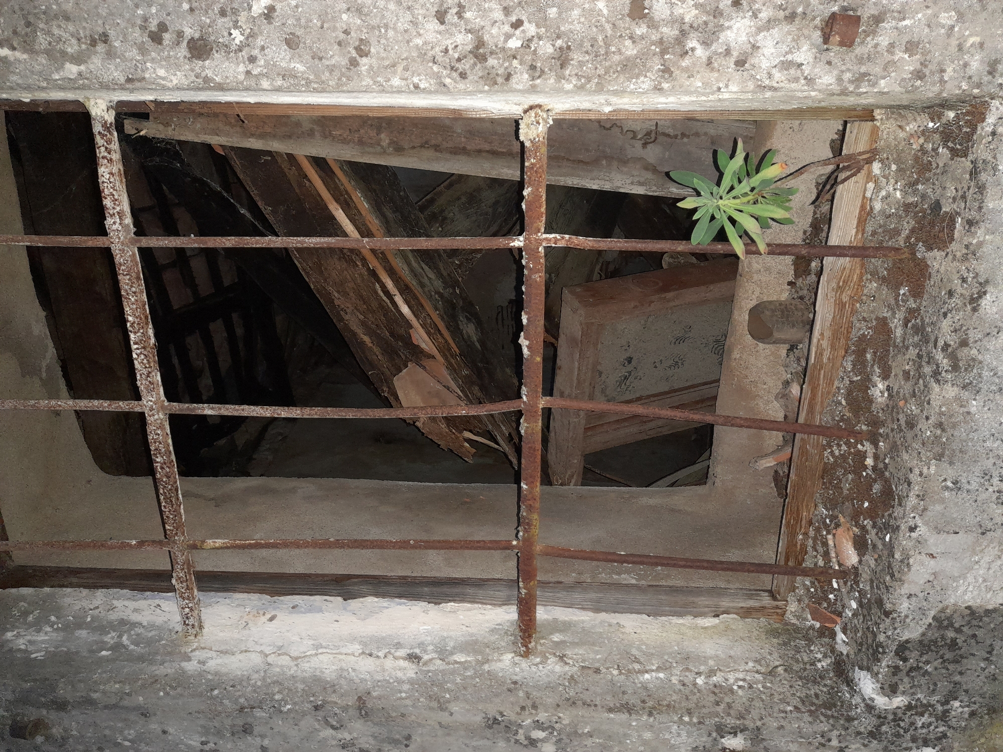 A ground-level close-up shows a barred opening in a concrete and stone wall. The bars are rusty and corroded. Through the opening, one can see the interior which appears to be an abandoned or deteriorated space with wooden beams and debris. A green plant grows out through the bars on the right side of the opening. The walls surrounding the opening are stained and marked with what seems to be mold. Given the request, this image is from a location in the city of Boljevići, Montenegro. No people are visible in the image.