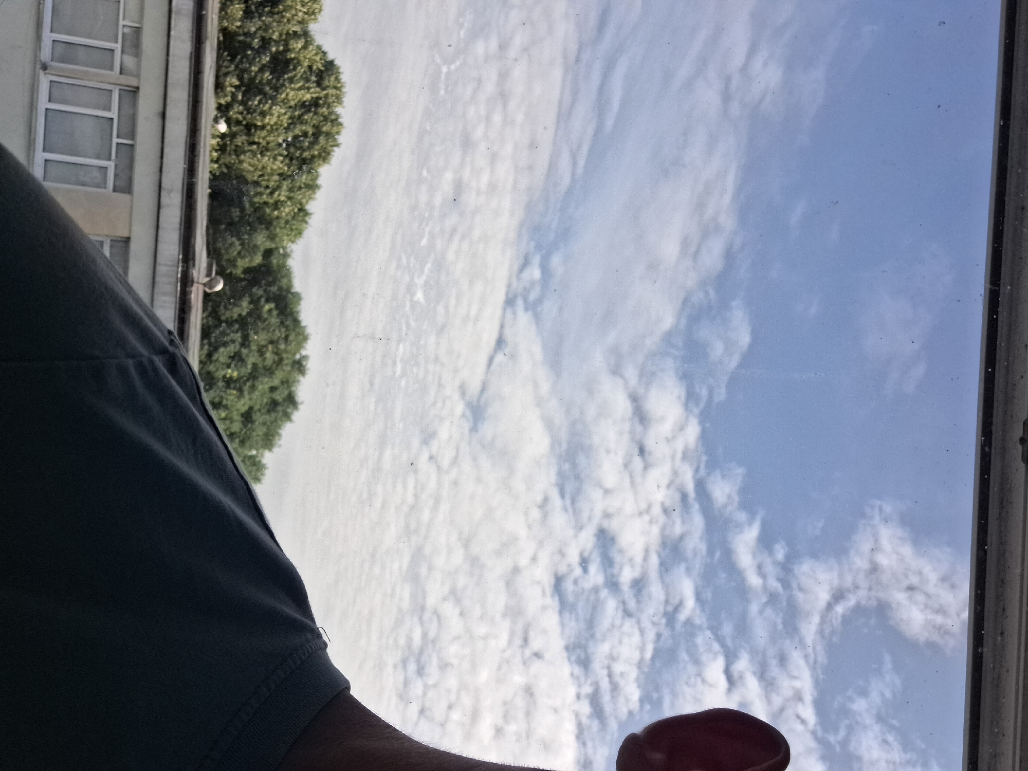 A first-person perspective shot from a person's chest up, looking out a window. The person is wearing a dark blue t-shirt. Outside the window, a bright blue sky with scattered white clouds is visible. Below the sky are green trees and the roof of a building with two white birds on it. The building below the roof has white window frames. The image appears to be taken on a sunny day, likely in Varna, Bulgaria.