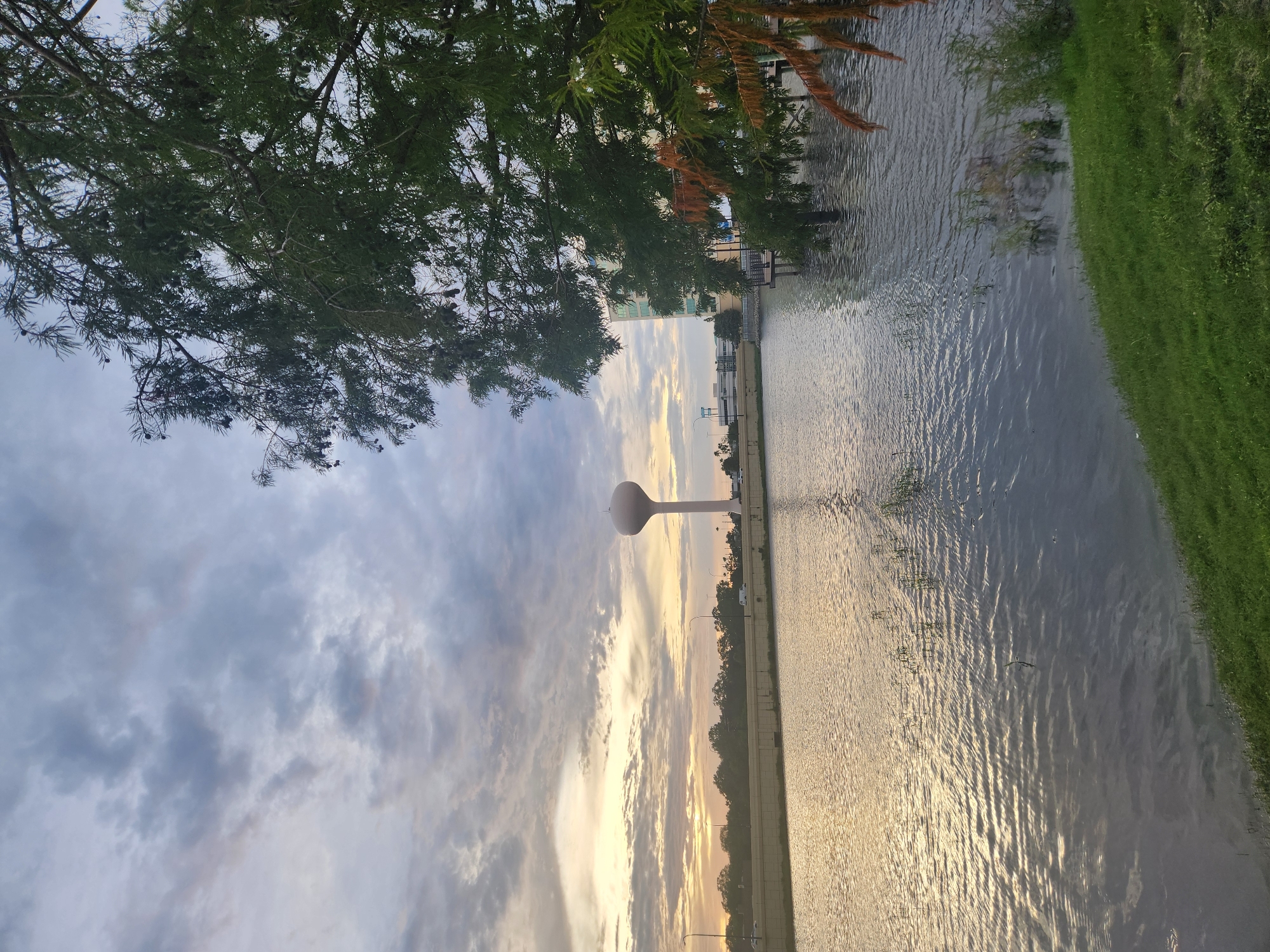 This is a wide-angle, eye-level, vertical outdoor photograph taken from the bank of a body of water, likely a lake or retention pond. The scene is set during either sunrise or sunset, with the sky filled with dramatic clouds that are illuminated by warm, golden light from the left side of the frame. In the distance, a prominent water tower stands tall, its white structure contrasting with the twilight sky. Beyond the water tower, a line of trees forms a distant horizon, with a highway or road visible behind them, evidenced by streetlights and the silhouettes of vehicles.
On the right side of the image, a large tree with dark green foliage dominates the foreground, its branches reaching towards the sky and partially obscuring the view of distant buildings. The water in the foreground is calm, with gentle ripples reflecting the colors of the sky and the surrounding environment. There are some sparse aquatic plants emerging from the water in the middle ground. The immediate foreground to the bottom right is covered in lush green grass.
This scene is recognizable as being located in Altamonte Springs, Florida, United States of America. The distinct water tower visible in the background is a landmark of the city, and the surrounding landscape with the body of water and vegetation is characteristic of the area. There are no people visible in the photograph. The image captures a serene and picturesque moment in an urban or suburban landscape.