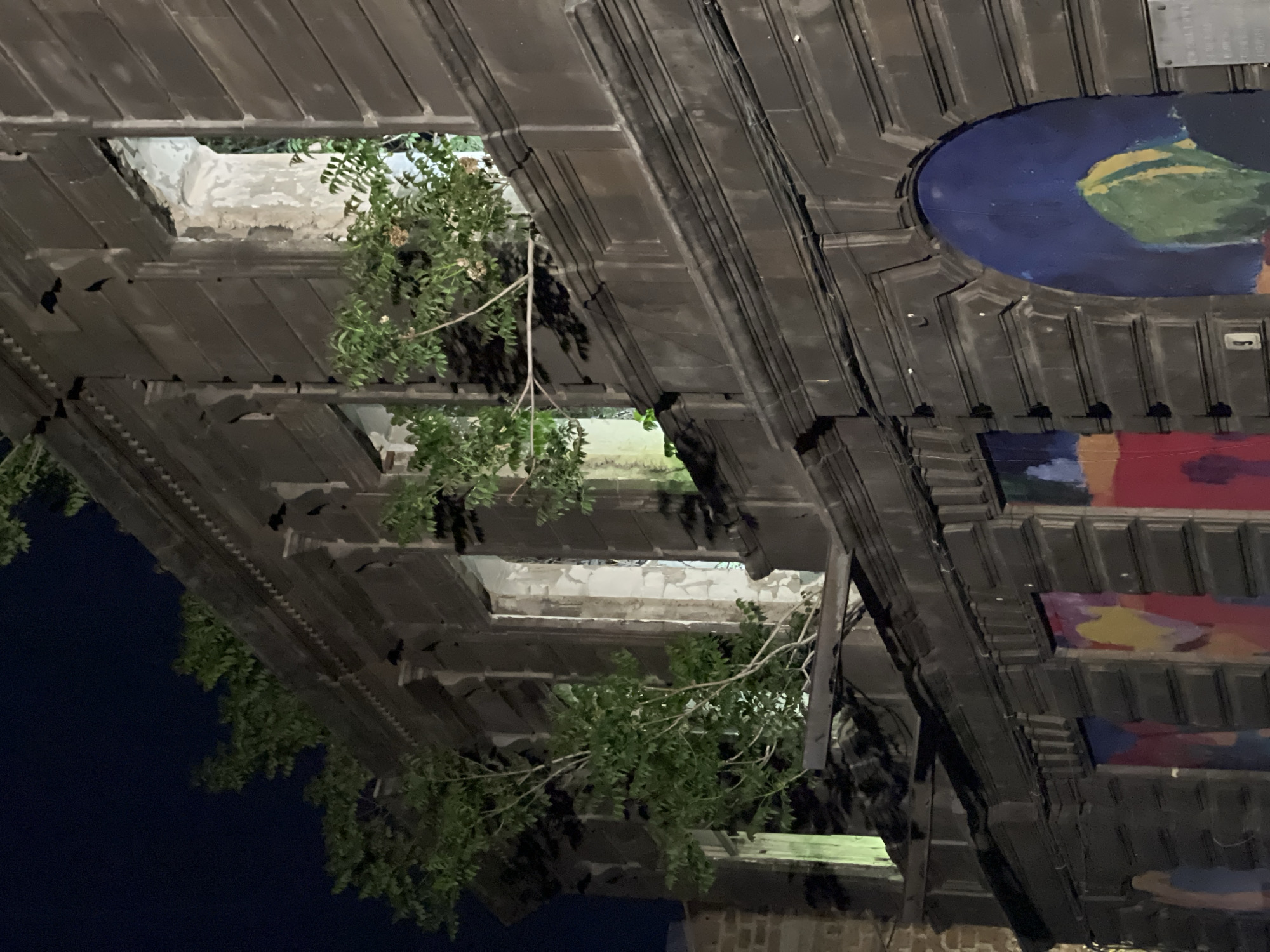 The image shows the ceiling of a building with plants growing through holes. The ceiling has panels and moldings, some of which are painted with colorful designs. The location is Yerevan, Armenia.
