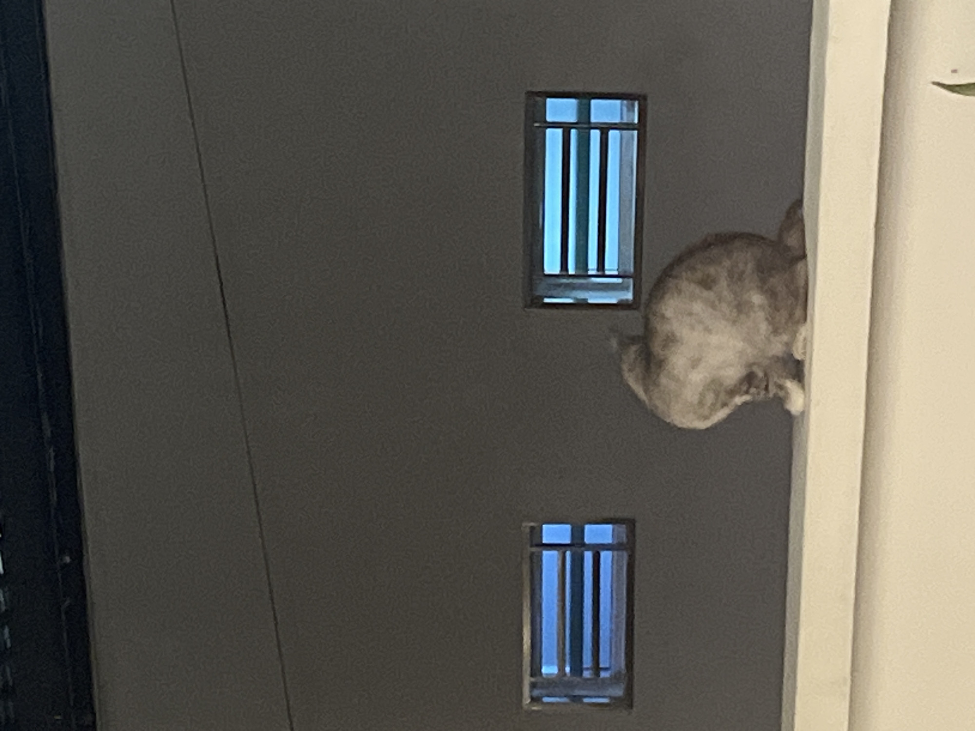 A fluffy, gray and white cat is perched on a white ledge in front of a dark gray wall. The cat is facing away from the viewer, hunched over with its tail tucked. To the left and right of the cat, at a similar height on the wall, are two small, rectangular windows with horizontal blue lights. The windows appear to be louvred, with dark horizontal bars visible through the blue glow. The overall setting suggests an indoor environment, possibly a building in the city of Tanjung Balai Karimun, Indonesia, though no specific landmarks confirm this location. The lighting is dim, with the blue light from the windows being the primary light source.