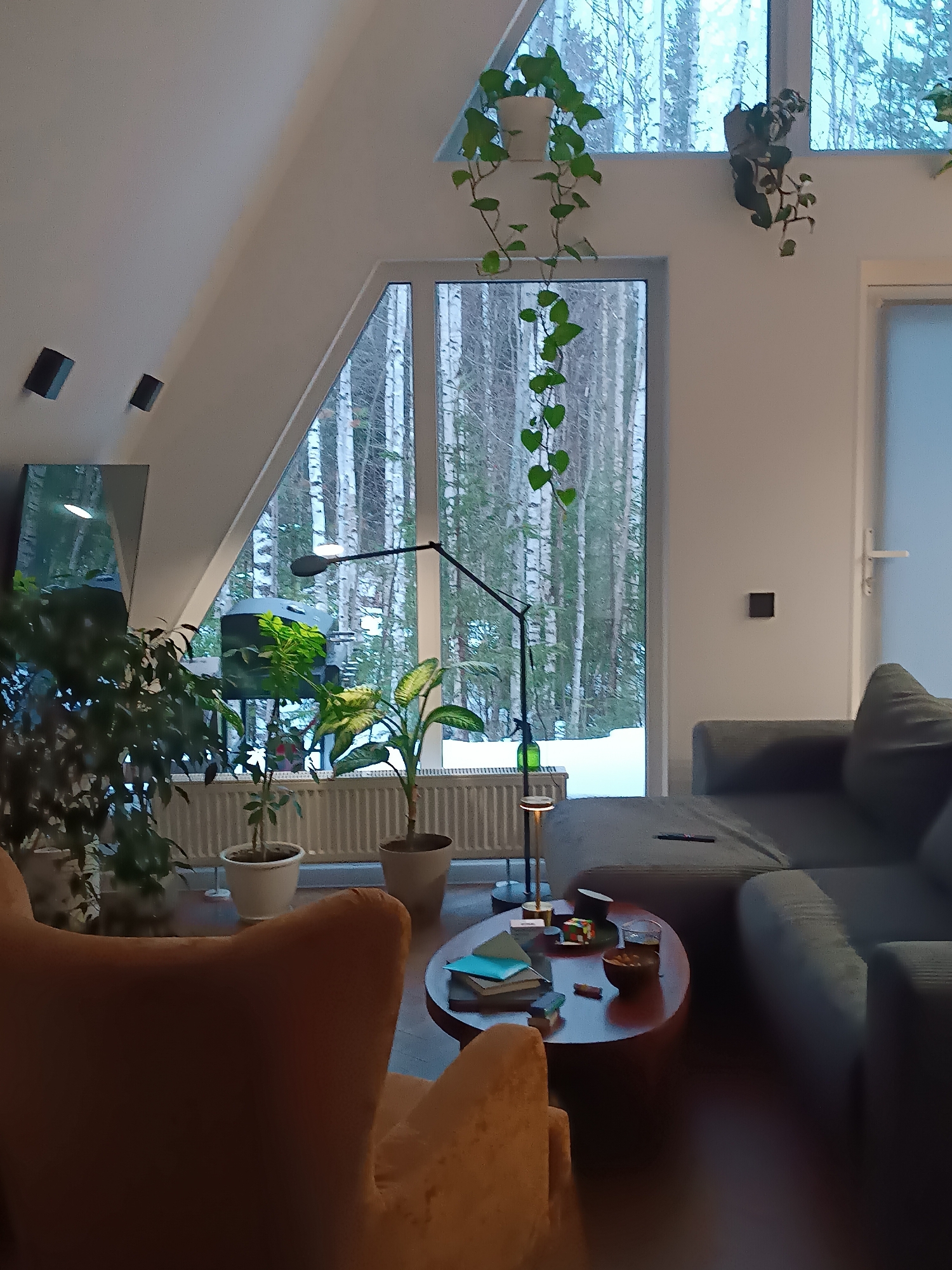 The image shows the interior of a room with a modern aesthetic, likely in a residential location given the presence of plants, furniture, and personal items. The room has a large window with a view of a birch forest covered in snow, suggesting a setting in a cold climate, possibly a rural or suburban area.
The furniture includes a large grey sectional sofa and an orange armchair. A dark-colored coffee table sits in front of the sofa, adorned with books, a bowl, and other small items.
Plants are prominent, with several potted plants positioned along the window and a hanging plant in front of it. The room features a modern floor lamp near the sofa, adding to the ambient lighting.
The room's design includes a sloped ceiling, typical of an A-frame structure. Speakers are mounted on the wall near the television. A radiator is visible below the window.