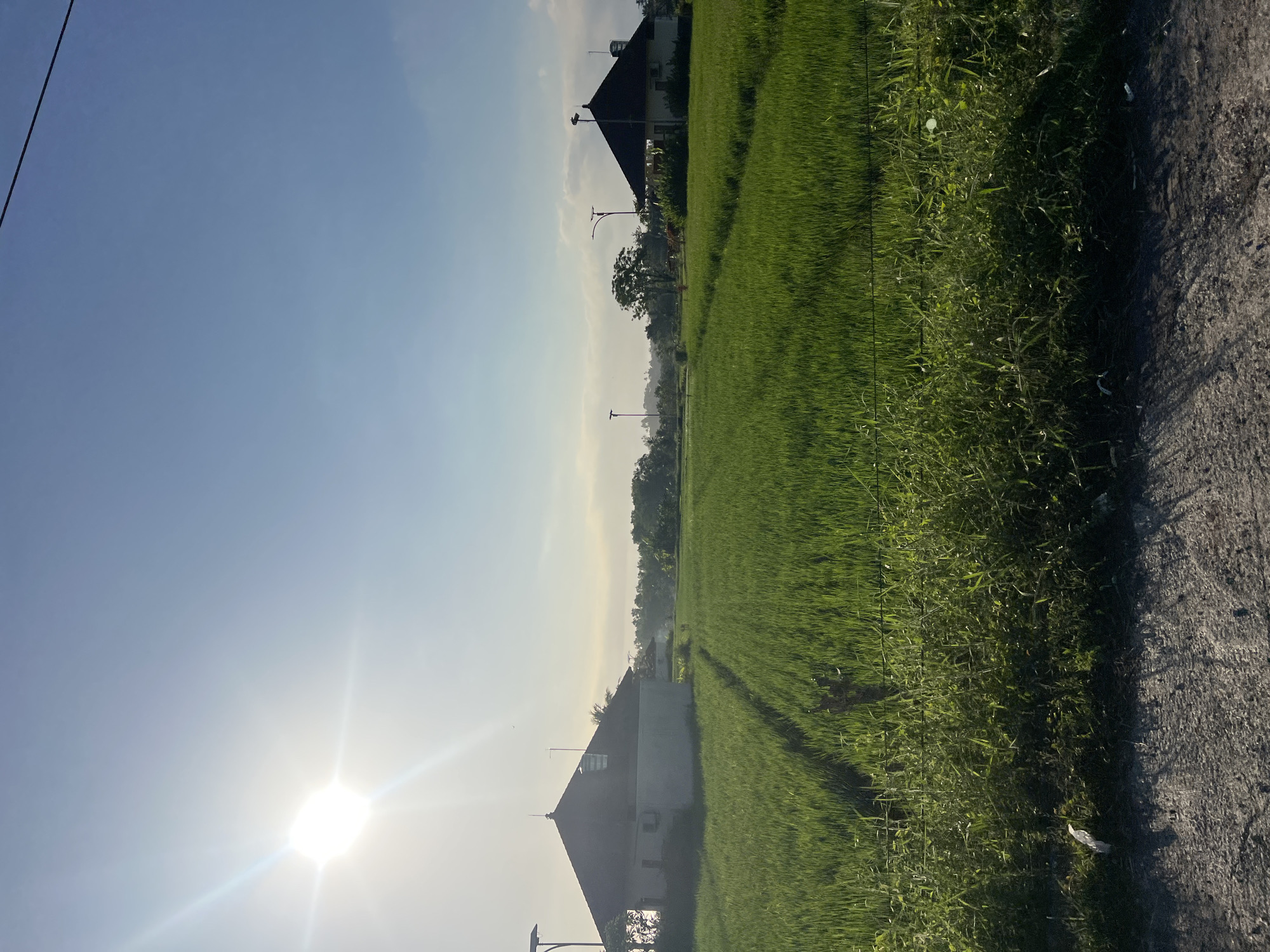 The image depicts a serene rural landscape in Kediri, Indonesia, characterized by lush green rice fields bathed in the warm glow of the morning sun. The sun, a bright orb in the clear blue sky, casts a prominent lens flare and illuminates the scene. Two traditional houses with dark, pitched roofs are visible amidst the greenery. The house on the left is closer and shows a simple, rectangular structure with a white exterior. The house on the right is further in the distance and appears to be situated on the edge of the rice paddy. Several modern lampposts are strategically placed throughout the area, indicating a developed rural setting. The foreground is bordered by a dirt road or path with some sparse vegetation and evidence of litter. The overall impression is one of tranquil agricultural life in a tropical environment.