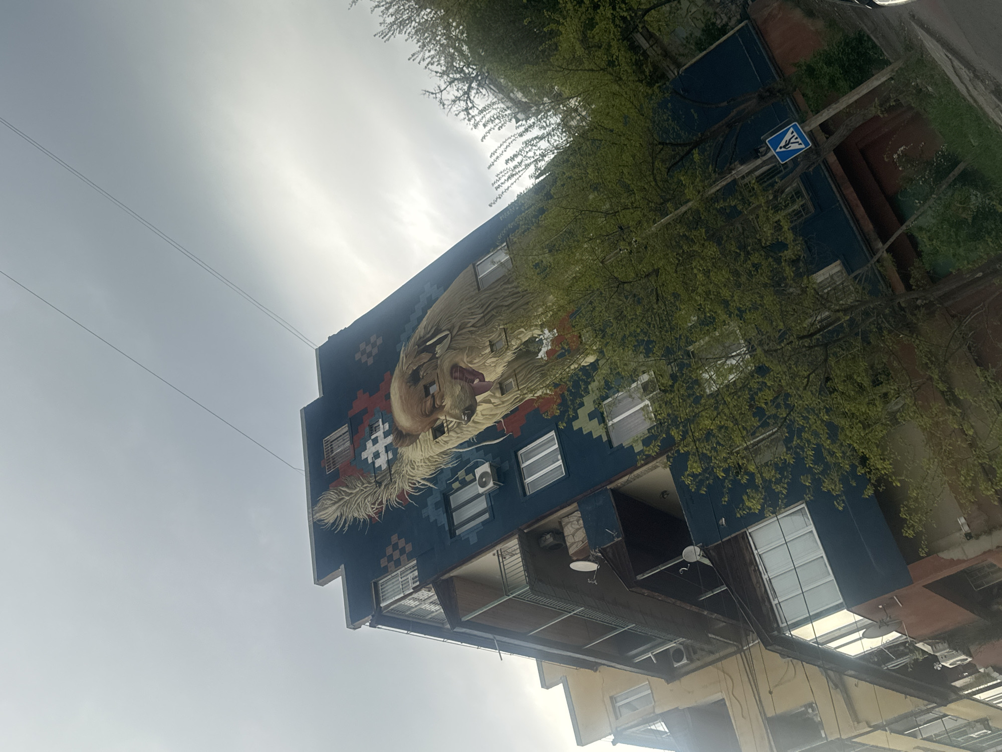 The image presents a striking view of a multi-story building facade adorned with a large, elaborate mural. The building itself features dark blue walls on its upper sections, contrasted with lighter yellow/beige and dark brown/red tones on lower levels. Multiple windows, some with external air conditioning units, are visible across the building's exterior, alongside balconies or covered outdoor spaces on lower floors.
The dominant feature is the mural, which vividly portrays the head of a wolf or a large dog-like creature. The creature has its mouth open, revealing a glimpse of its tongue, and is characterized by long, flowing hair or fur. A distinctive feather is depicted near the creature's lower left jaw. The mural's background is filled with intricate geometric patterns in blue, red, and white, resembling a woven textile.
To the upper right, partially obscured by fresh green leaves of trees, a blue pedestrian sign is visible, displaying white pictograms of two walking figures, indicating a pedestrian crossing or path. Green foliage from these trees frames the right side of the building, suggesting spring or early summer.
The sky is bright and overcast, providing diffused lighting to the scene. Two thin power lines or wires traverse the upper left quadrant of the sky. The photograph, taken during daytime, captures a static urban scene with a significant piece of street art. The location context for this scene is Tbilisi, Georgia.
