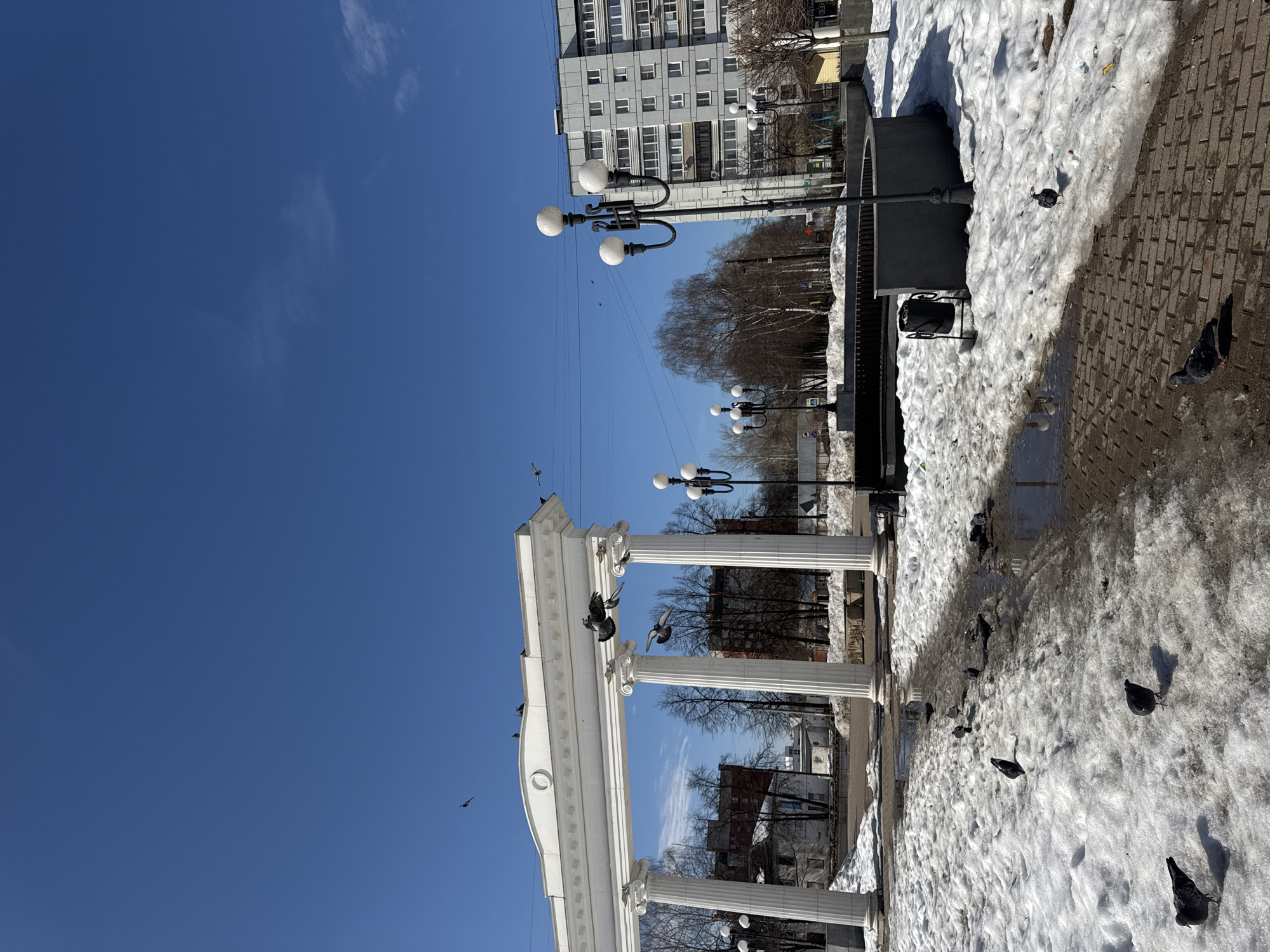 The image depicts an urban park environment identified as Park Pobedy (Victory Park) in Chaikovsky, Russia, under a clear, bright blue sky with minimal scattered white clouds. The ground is extensively covered in melting snow, revealing patches of brown brick paving and numerous puddles. Visible debris, including wrappers and cigarette butts, is present within the snow.
A prominent white, classical-style colonnade stands in the mid-ground on the left, featuring four fluted columns supporting a flat architrave with a central circular medallion. Approximately six rock doves (pigeons) are perched along the top of this colonnade, while two are captured mid-flight directly in front of it. Several other birds, likely pigeons, are flying higher in the clear sky. An estimated ten pigeons are distributed across the snow and exposed paving in the lower foreground, appearing to forage.
Several black lampposts, each topped with multiple (three to four) spherical white globes, are positioned throughout the park, with one prominent in the mid-right. A dark grey, low circular concrete structure, possibly a dormant fountain or planter, is located in the mid-ground, with a black wire trash receptacle positioned beside it.
In the background, bare deciduous trees, devoid of foliage, are visible. To the left of the colonnade, a red-brick building and a smaller white building with a dark roof are discernible. To the right, a multi-story, light grey residential building with multiple windows and balconies is prominent. Electrical or communication wires traverse the sky in the mid-ground. No human subjects are present in the scene. The overall environment suggests a sunny day during late winter or early spring conditions due to the melting snow and bare trees.