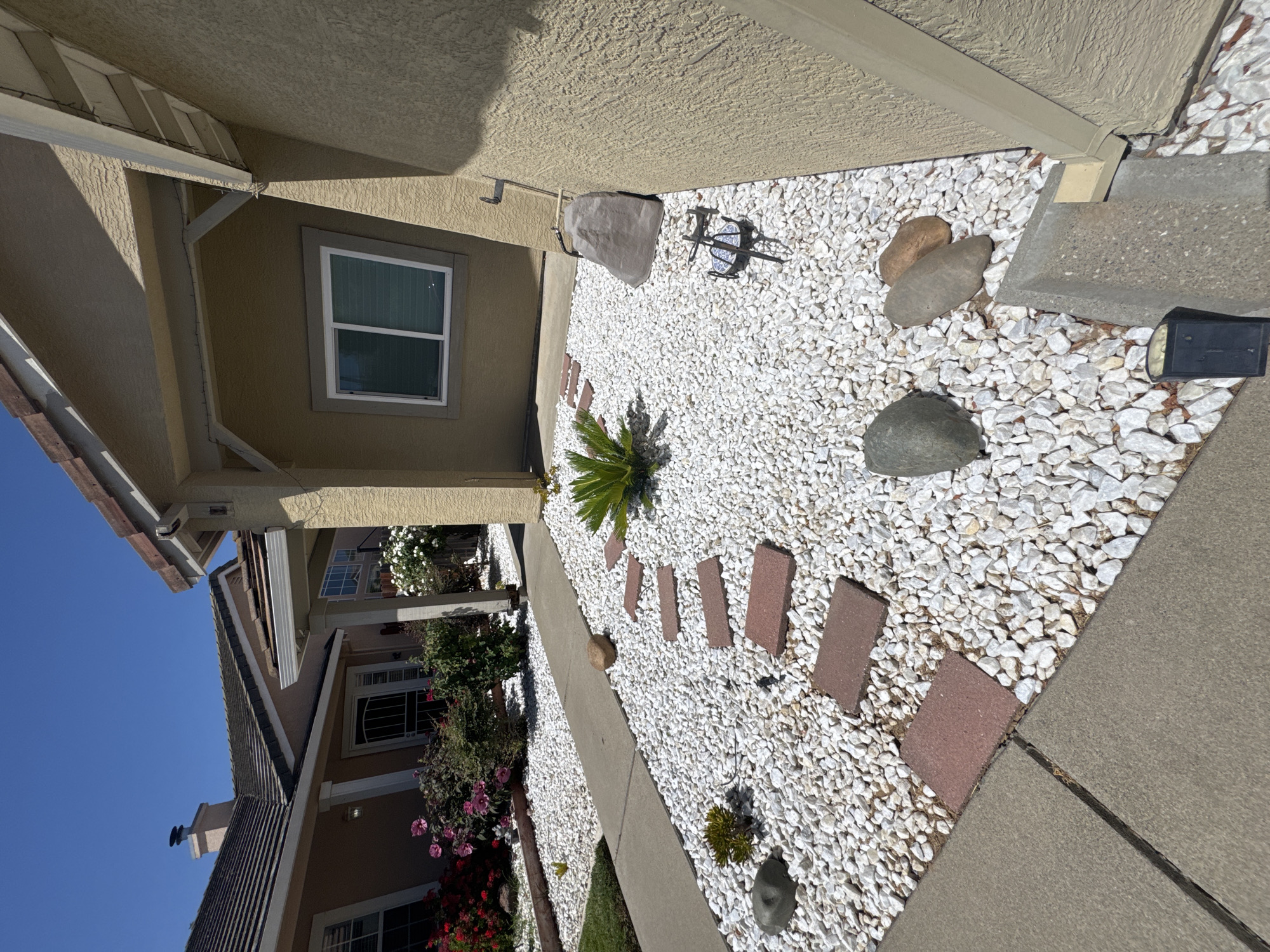 This image depicts the exterior of a residential property in Antelope, California, United States. The scene is dominated by a beige stucco house with an overhanging beige covered patio supported by a beige beam. A white framed window with horizontal blinds is visible on the house wall. The landscaping features a pathway made of grey concrete slabs, interspersed with red brick stepping stones that lead through a bed of white crushed stone. Several rocks of varying sizes and colors are scattered within the white stone, including a large grey boulder near the house wall and two smaller, smoother rocks further into the garden. A small, spiky green plant is positioned centrally on the stepping stone path. To the left, a lawn area borders a section of the concrete pathway and is adorned with flowering bushes displaying pink and red blooms. A dark colored outdoor light fixture is visible near the bottom right corner of the image. The sky above is clear and blue.