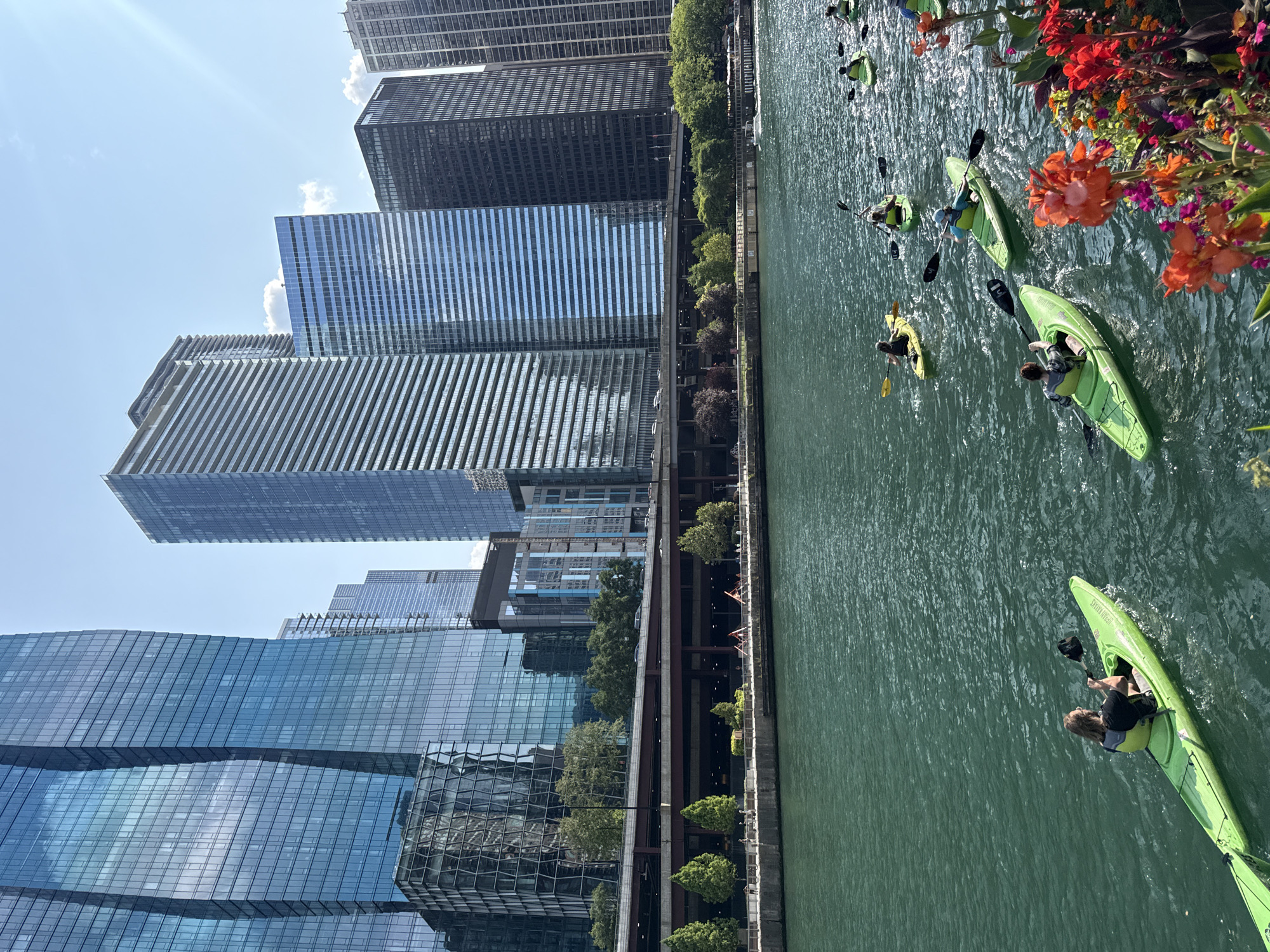 In Chicago, Illinois, a group of people are kayaking on the Chicago River. The kayaks are green and yellow, and the people are wearing life vests. The river is a murky green color, and the water is choppy. In the background, there are several tall buildings made of glass and steel. The buildings are modern and sleek, and they reflect the blue sky. The sky is clear and bright, with a few white clouds. There is a bridge that spans the river, and cars can be seen driving on it. Along the riverbank, there are trees and some flowers. The scene is one of urban activity and recreation, with the natural beauty of the river and the man-made grandeur of the city coexisting.