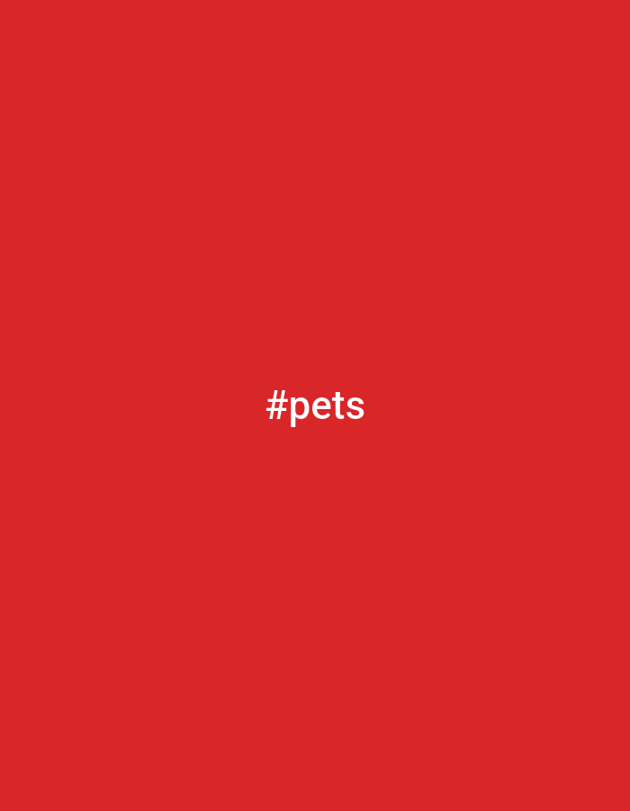 The image is a solid red background with the hashtag "#pets" in white text centered horizontally and vertically. The image does not depict the city of Yerocham, Israel, or any specific location.