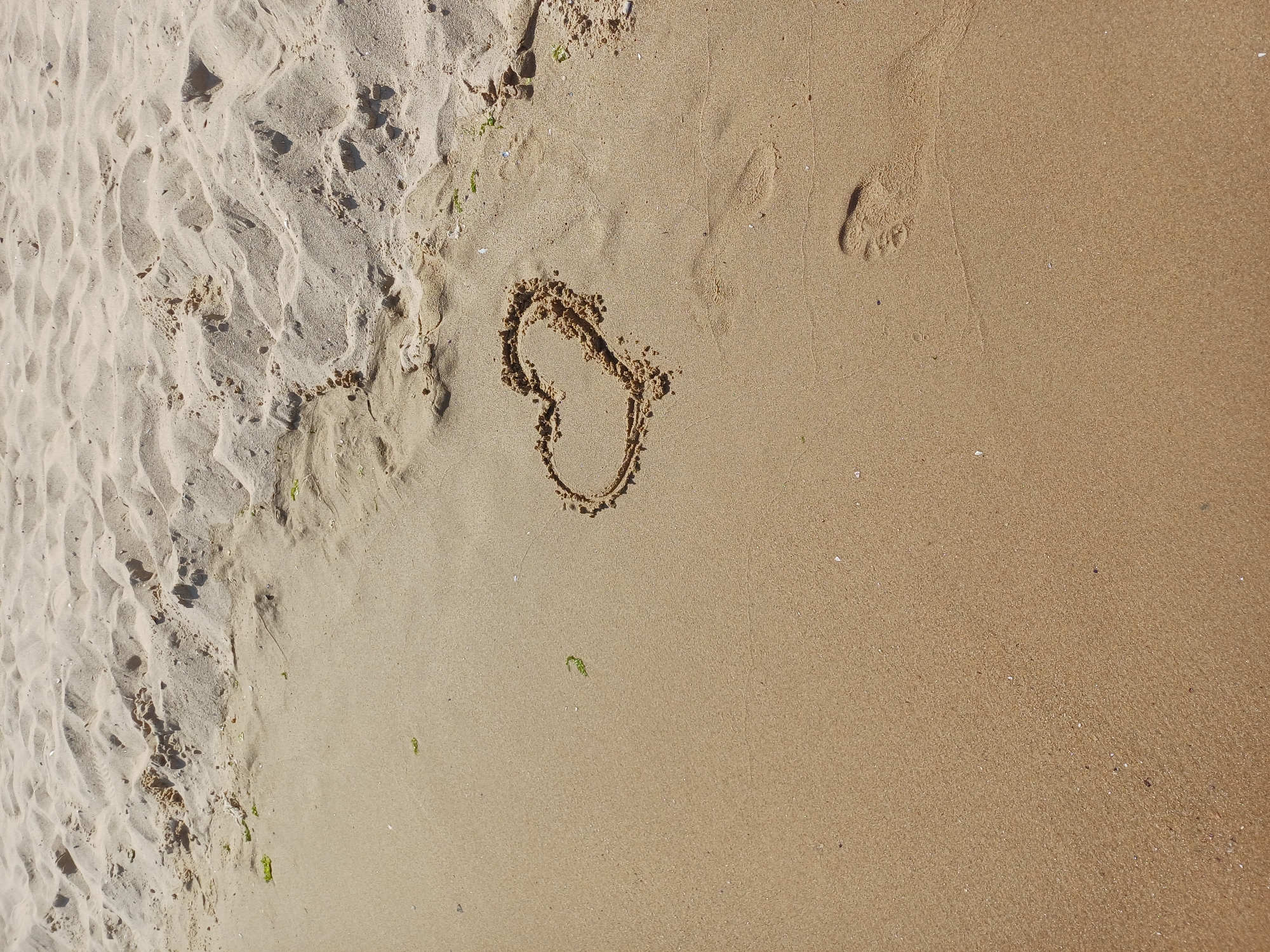 This image depicts a close-up, eye-level view of a sandy beach, likely located in Varna, Bulgaria. The foreground is dominated by wet, compact sand, showing subtle ripples and texture. A heart shape has been drawn into the sand with a finger or stick, its outline slightly raised and textured, with small clumps of sand gathered along the edges. Nearby, two distinct footprints are visible, pressed into the sand, one more clearly defined than the other, indicating recent human presence. In the background, the sand becomes drier and coarser, with larger dunes and undulations. Scattered specks of green seaweed and small white shells are sparsely distributed across the beach. The lighting suggests a bright, sunny day, casting soft shadows on the sand's surface.