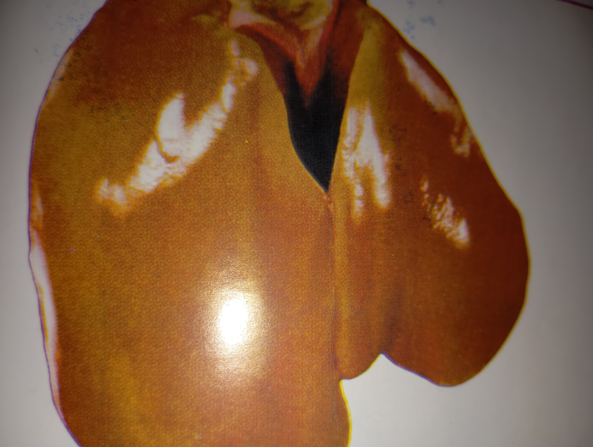The image displays a close-up, angled view of a specimen, appearing to be a liver, with its characteristic reddish-brown color. The surface texture is rough, indicating tissue. A bright, diffused light source creates a strong reflection on the left side of the specimen. The background is a plain, light-colored surface. There is no discernible information within the image that would allow for the determination of its location in Hakale, Pakistan, or any details about people, actions, or interactions. The image is purely a visual representation of the biological specimen.