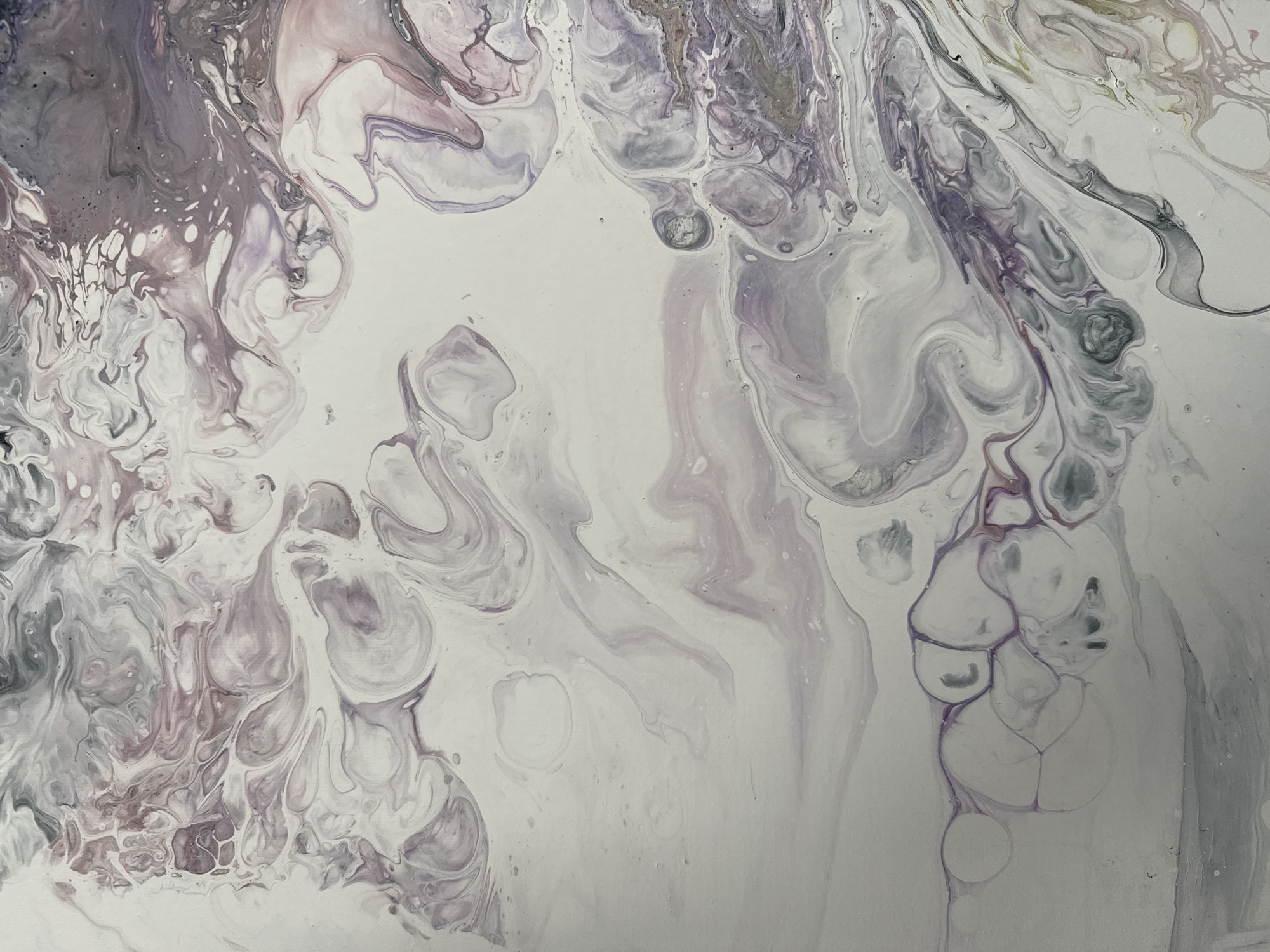 This is an abstract acrylic pour painting with a color palette dominated by white, shades of lavender, and gray. The paint has been manipulated to create flowing, organic patterns that resemble marbled textures and cellular structures. There are areas of swirling lines, circular formations, and lacy edges. The texture appears smooth and glossy, typical of acrylic pours. The image does not depict any recognizable city, landmarks, or geographical features, and therefore cannot be located in Herceg Novi, Montenegro. It is purely an abstract artwork.