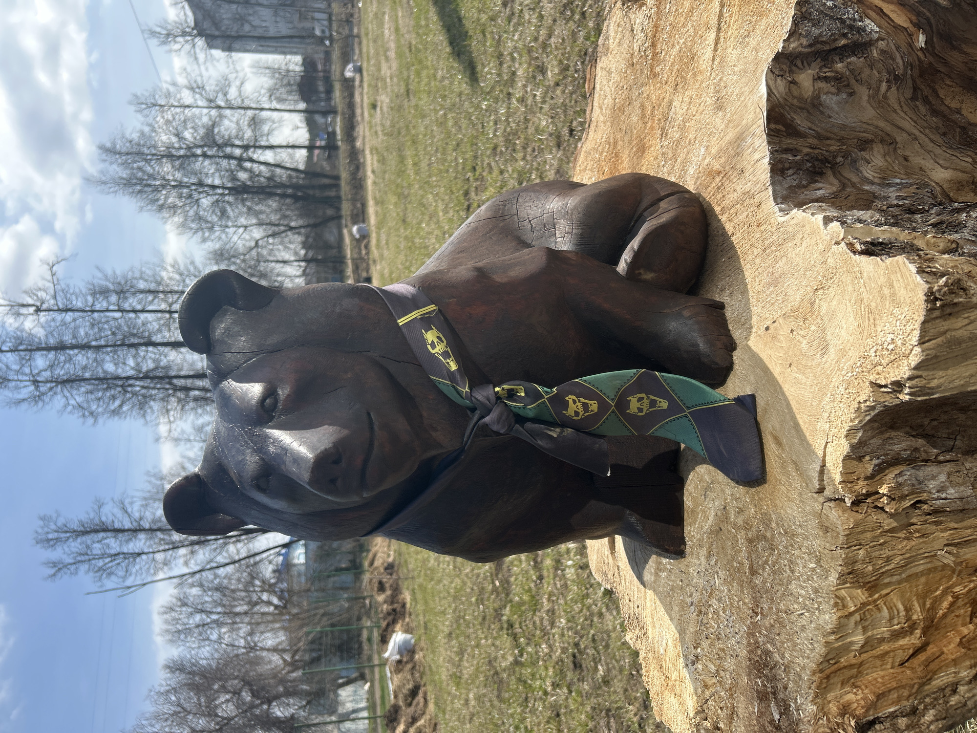 A wooden bear sculpture rests on a light-colored tree stump in a park, likely in the city of Chaikovsky, Russia. The bear wears a dark tie with green and gold diamond patterns. The background shows a grassy area, bare trees, a building in the distance, and a blue sky with some clouds.