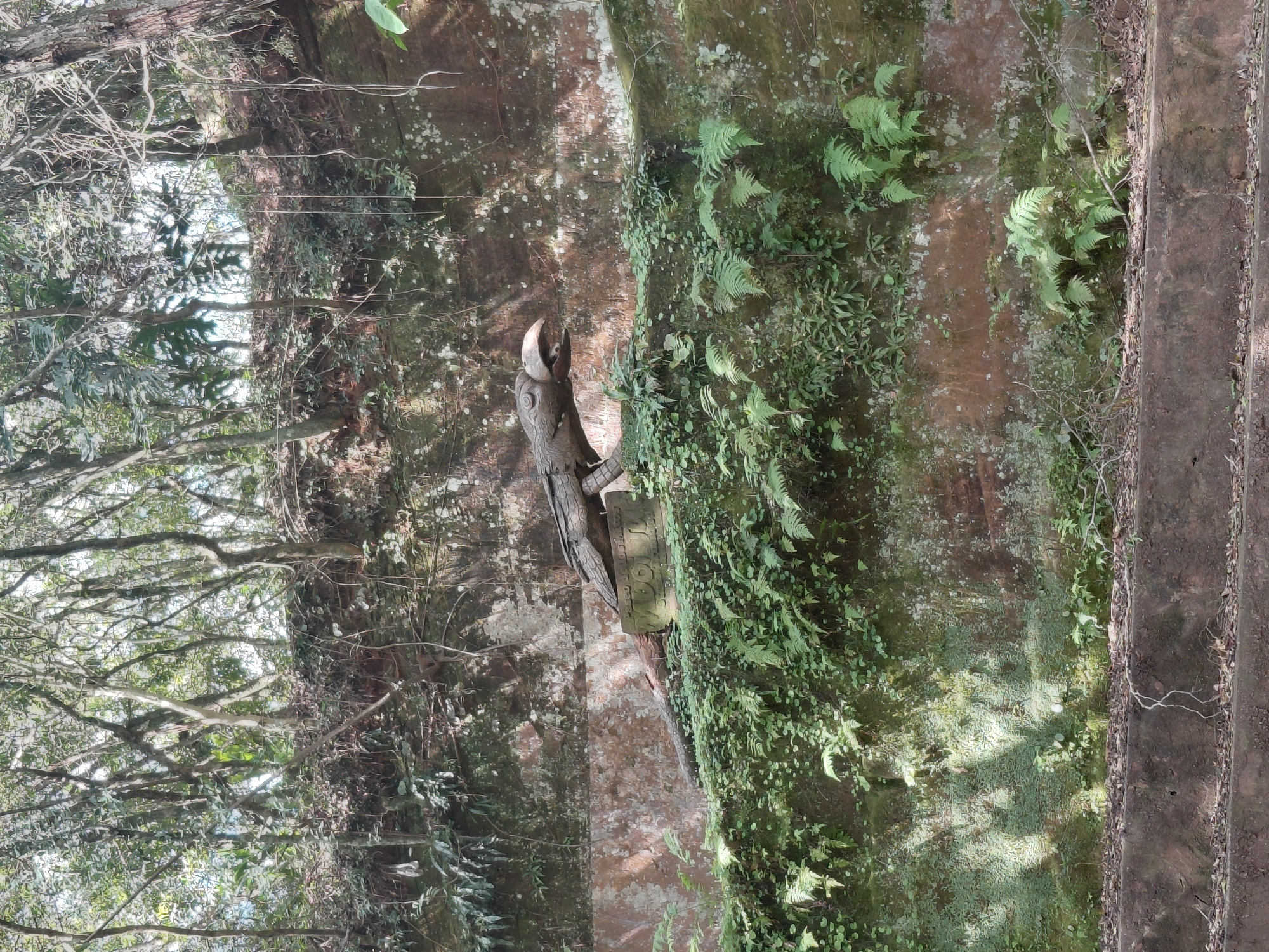 A weathered, stone-like sculpture of a bird, possibly an eagle or hawk, with its mouth open and appearing to hold something, is perched on a moss-covered ledge. The sculpture is made of what appears to be wood or a similar material, with carved details resembling scales and feathers. It is situated against a reddish-brown stone wall covered in lush green ferns and other vegetation. Above the wall, the scene transitions to a dense forest canopy with sunlight filtering through the leaves. The lower part of the image shows concrete steps or ledges, also covered in debris and some vegetation. There are no people visible in the image. The setting suggests an outdoor, possibly natural or historical, location. The inscription on a circular stone base beneath the bird sculpture is partially visible and appears to read "JOL". The context of Trinidad, Paraguay, suggests this might be an artifact or ruin within the Jesuit Missions of La Santísima Trinidad de Paraná, a UNESCO World Heritage site known for its well-preserved ruins.