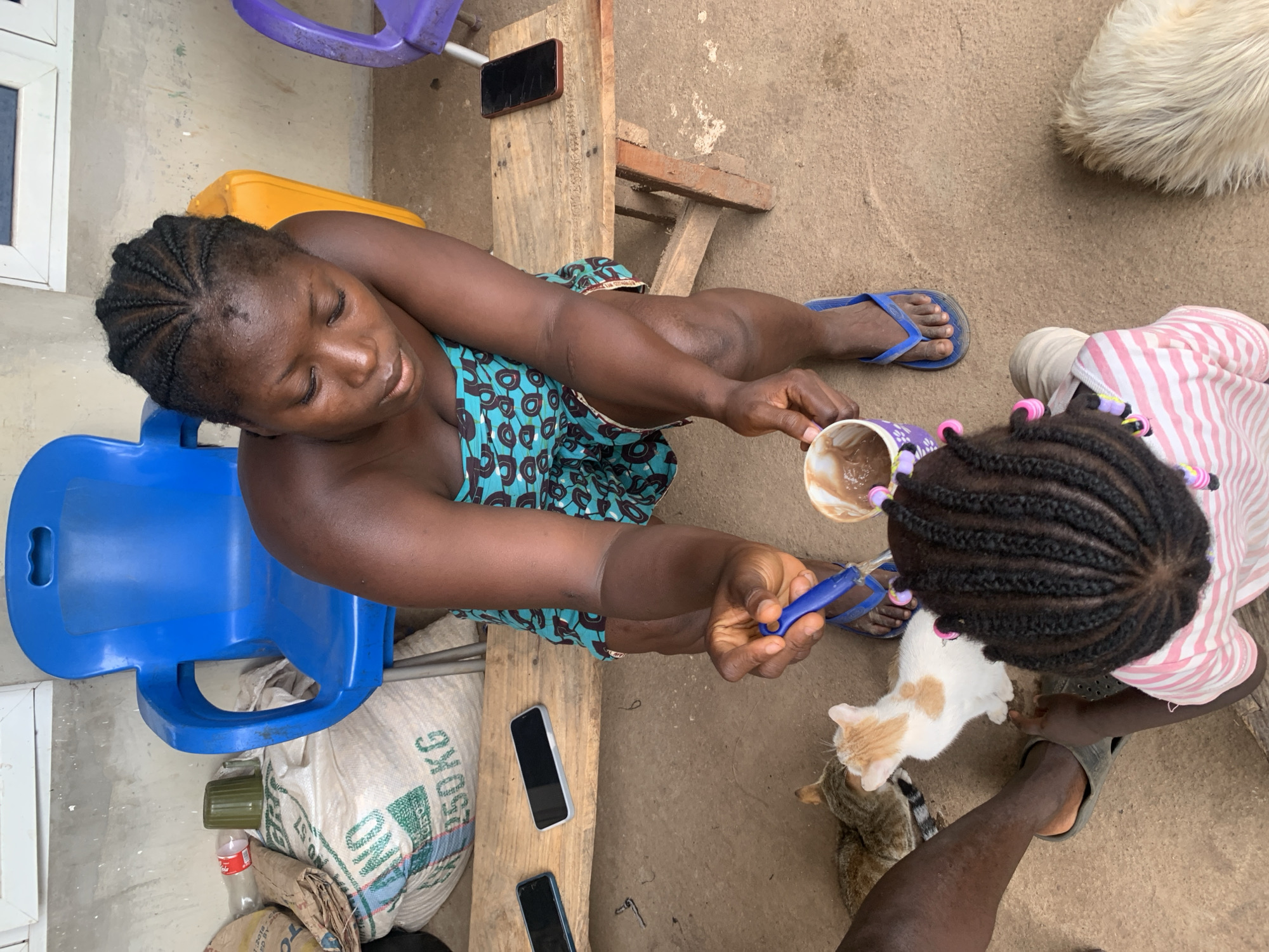 The image, taken from an overhead perspective, shows a woman with braided hair sitting on a blue plastic chair. She is wearing a turquoise patterned dress and blue flip-flops. She is feeding a young child with braided hair, who is wearing a pink and white striped shirt. Several cats are near the child's feet. The woman is holding a purple mug and a blue spoon. A wooden bench is next to her with several phones on it. A bag labeled "50KG" sits near the chair. A white fluffy animal is partially visible at the top right corner. The location is Akwanga, Nigeria, based on the presence of local elements. The environment appears to be a courtyard or outdoor area.
