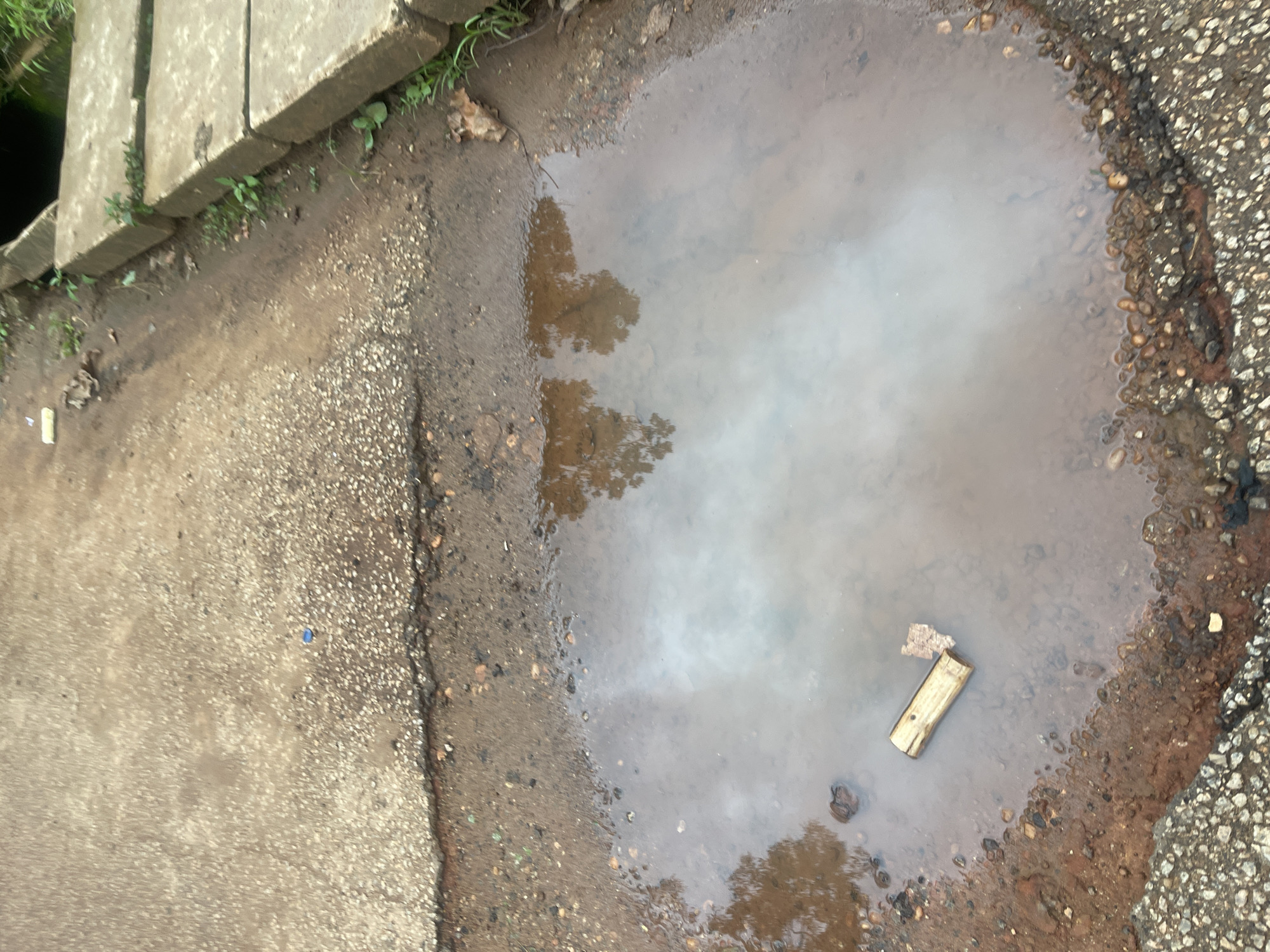 The image depicts a puddle of muddy water on a cracked asphalt surface, likely a roadside or pathway in Rafin Par, Nigeria. A piece of a light-colored wooden object, possibly a segment of bamboo, floats horizontally in the center of the puddle. The water reflects the surrounding environment, including trees. To the right of the puddle, concrete slabs are laid out, suggesting a drainage or walkway structure. Small green weeds are growing in the gaps between the slabs and along the edge of the pavement. The overall scene is consistent with an outdoor environment, possibly after rainfall, in a location with limited maintenance.