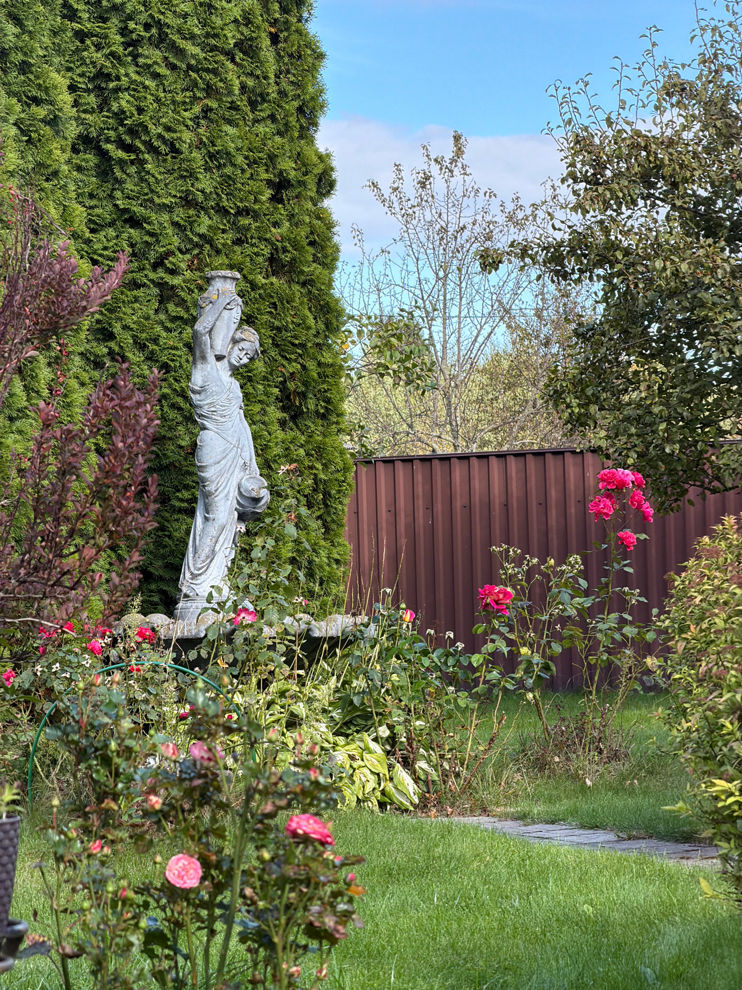 The image depicts a serene garden scene, likely in Бабініцкі сельскі Савет, Belarus, on a bright, sunny day with a clear blue sky. A tall, conical evergreen tree stands prominently on the left, serving as a backdrop for a weathered stone statue of a woman carrying a large urn on her head and a smaller vessel in her arms. The statue is positioned near a low stone border that appears to be part of a fountain or decorative element, surrounded by lush greenery and vibrant pink roses.
To the right of the evergreen, a rusty-brown corrugated metal fence stretches horizontally across the mid-ground, partially obscured by foliage. Beyond the fence, deciduous trees with sparser leaves are visible, suggesting it might be late summer or early autumn.
The foreground is dominated by a well-maintained lawn and more rose bushes in various stages of bloom, with some buds and fully opened flowers. A stone pathway made of irregular, flat stones meanders through the grass, leading the viewer's eye deeper into the garden. The overall impression is one of a tranquil and well-cared-for outdoor space, blending classical statuary with naturalistic planting.