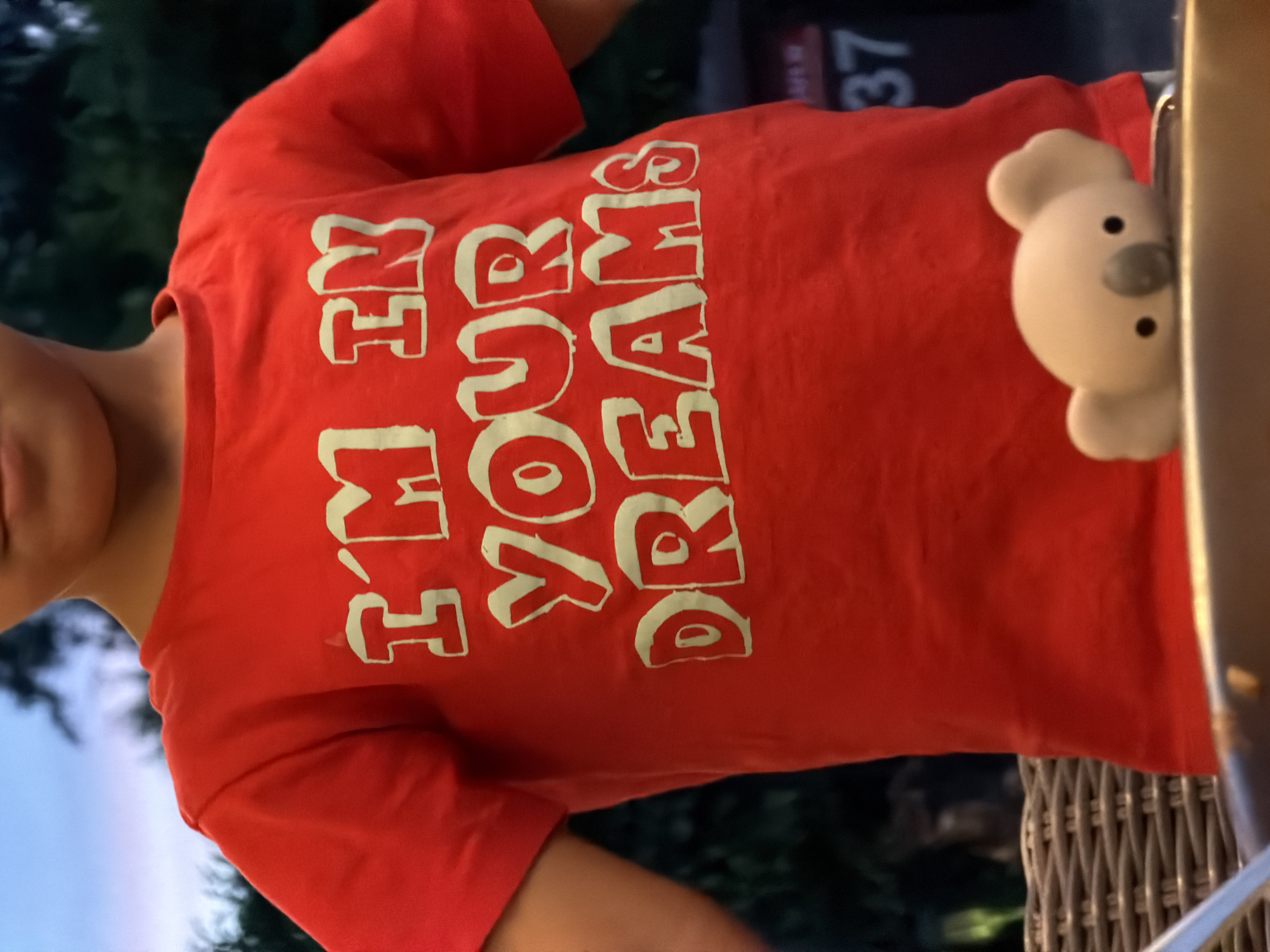 A close-up shot shows a person wearing a red t-shirt with the words "I'M IN YOUR DREAMS" printed in white. The person is partially visible from the shoulders down. In the foreground, a small, white stuffed koala toy peeks over the edge of a table or similar surface. In the background, out-of-focus greenery and what appears to be a trash bin with the number "37" visible suggest an outdoor setting, possibly a backyard or patio area. The lighting indicates it is dusk or evening. The scene is located in Junglinster, Luxembourg.